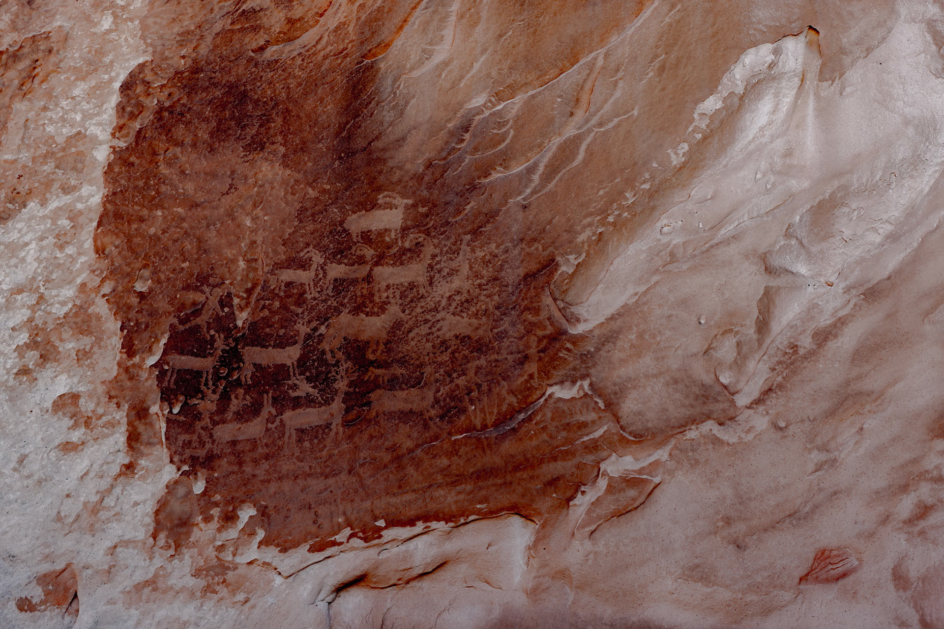 White Pockets, Vermillion Cliffs AZ
