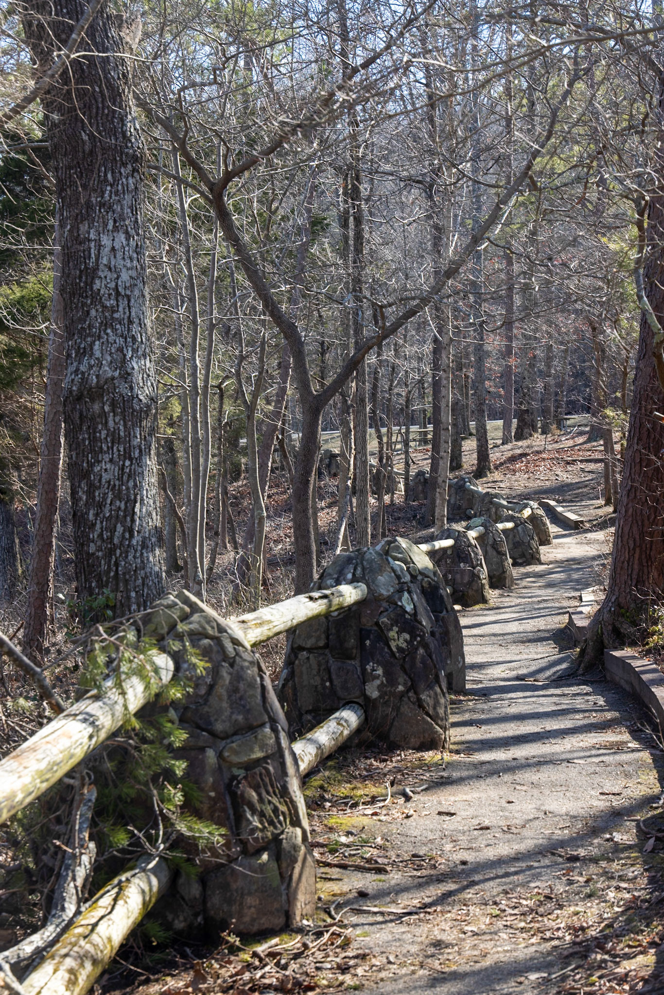 Cloudland Canyon, Rising Fawn, GA