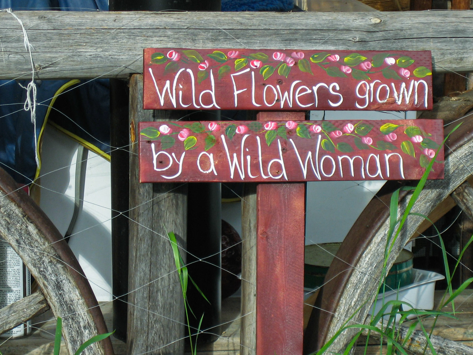 Glenora Ranch, Telegraph Creek  BC CA