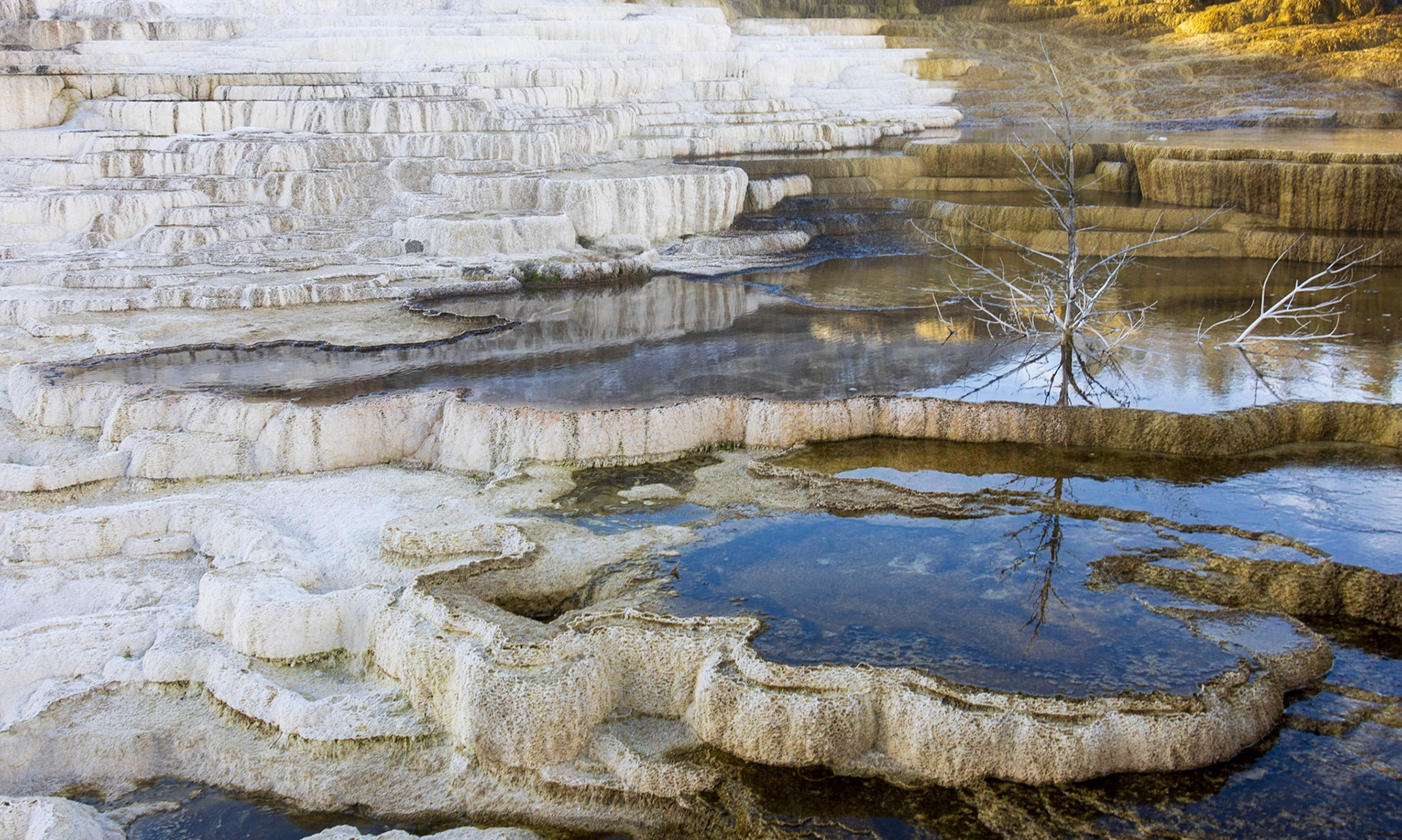 Mammoth Hot Springs, Yellowstone NP WY