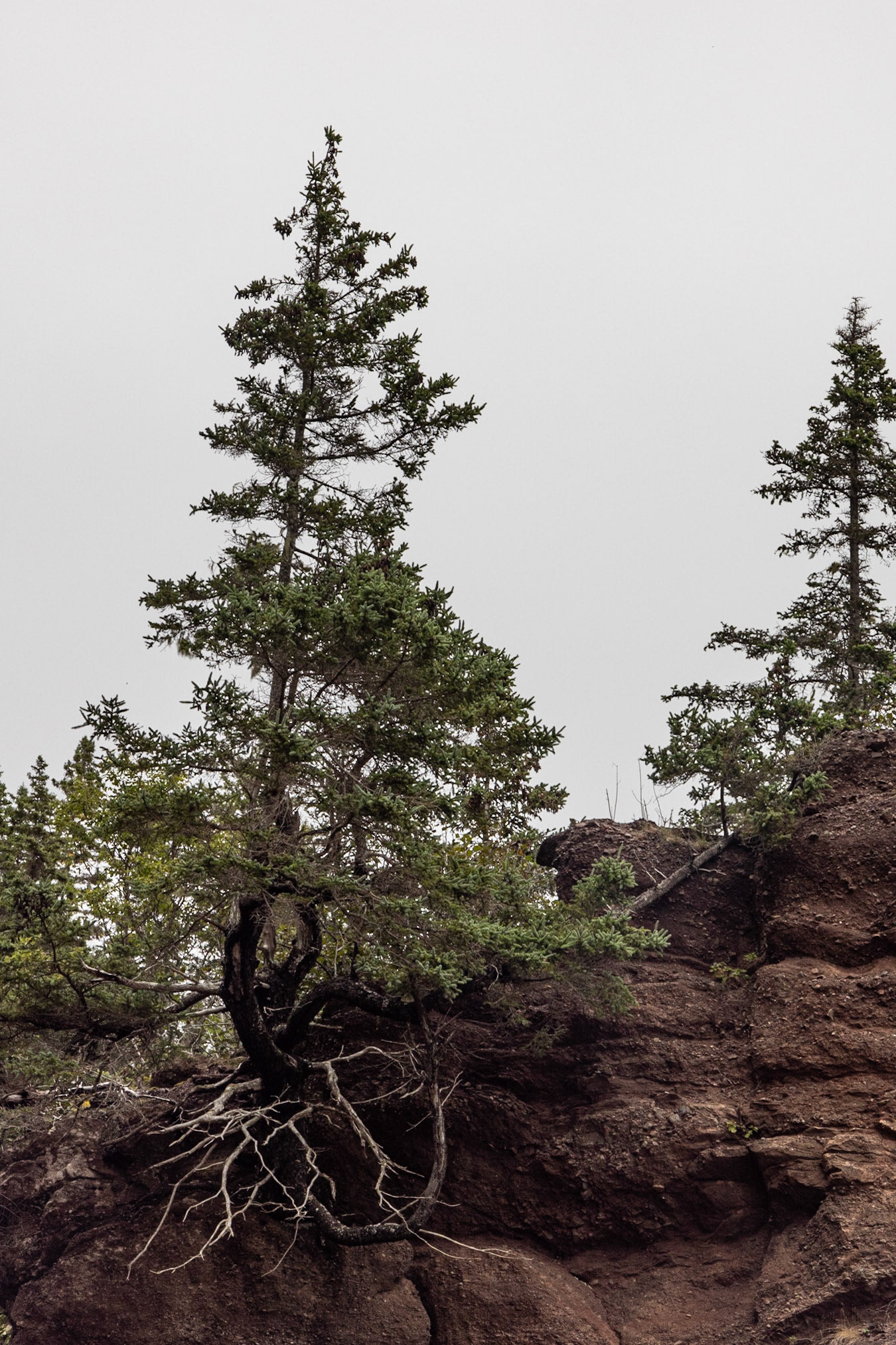Hopewell Rocks PP, New Brunswick