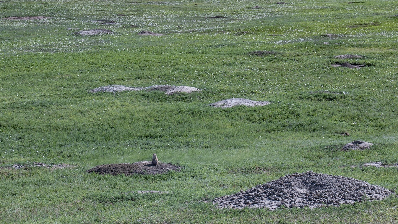 Theodore Roosevelt NP, South Unit, ND