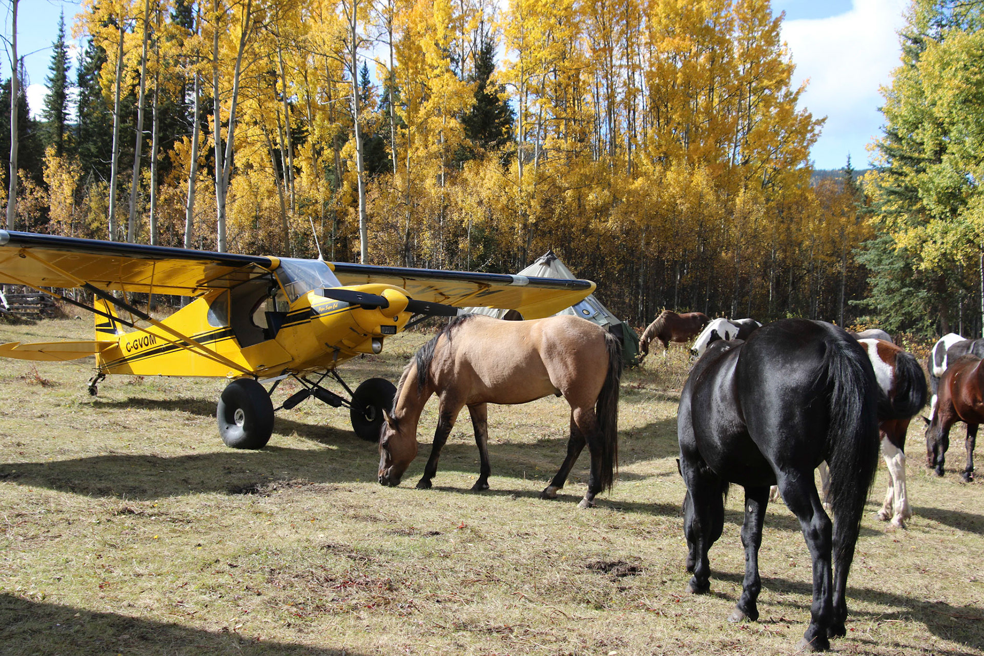 Hyland Ranch, Telegraph Creek BC CA