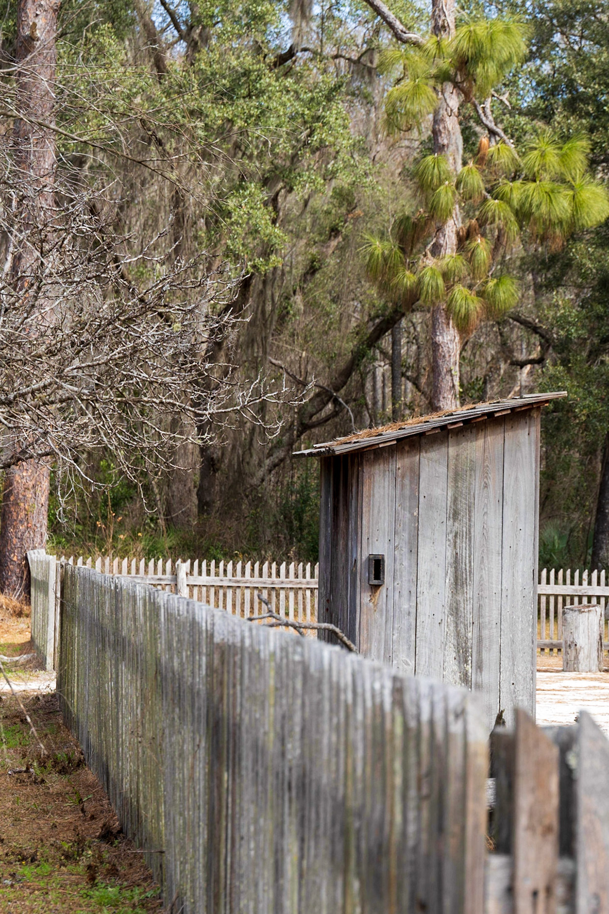 Forest Capital Museum SP