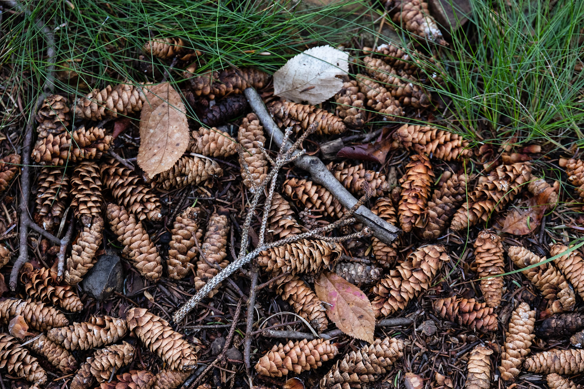 Little Hunters Beach, ME