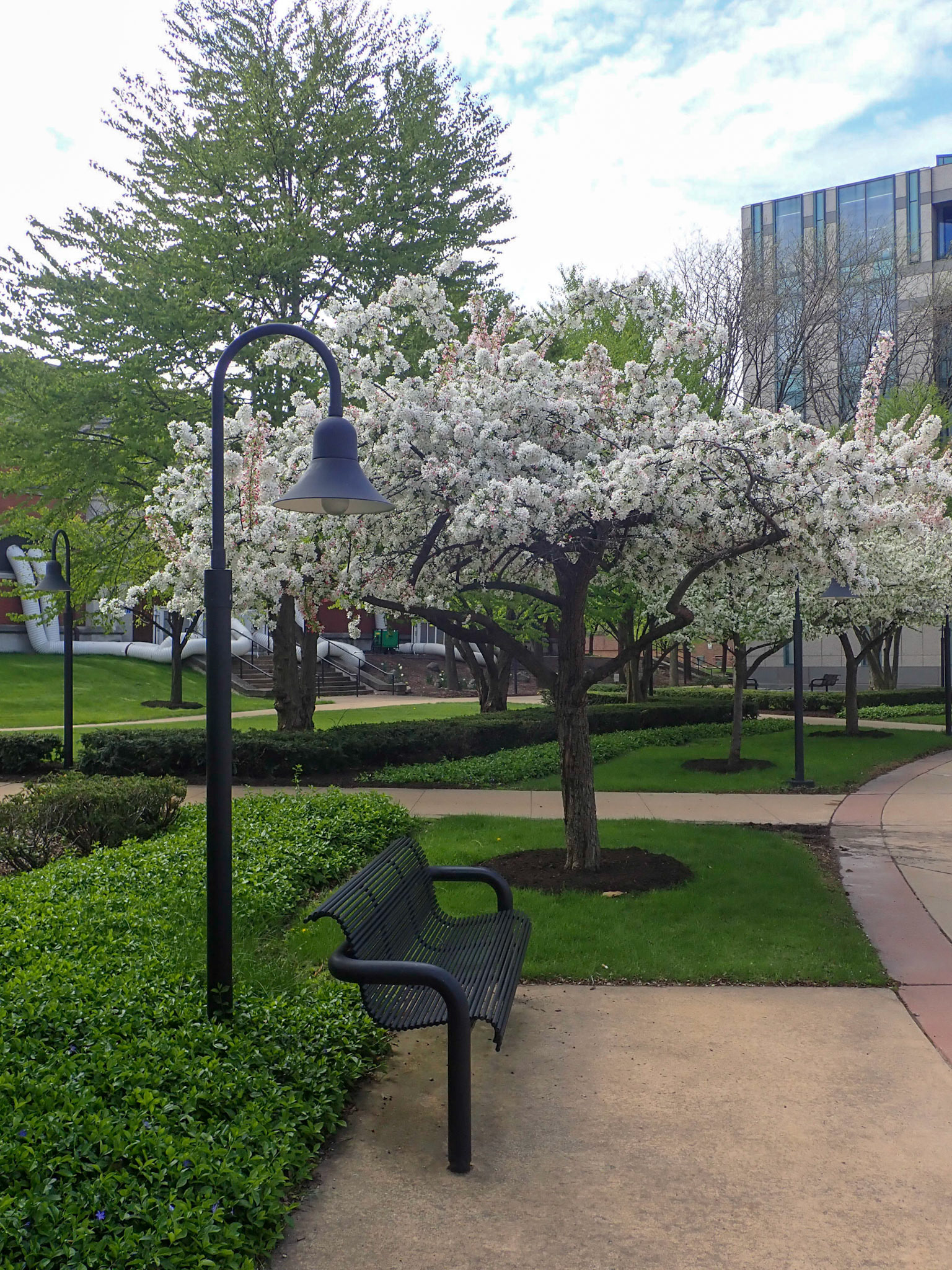 University Circle, Cleveland OH