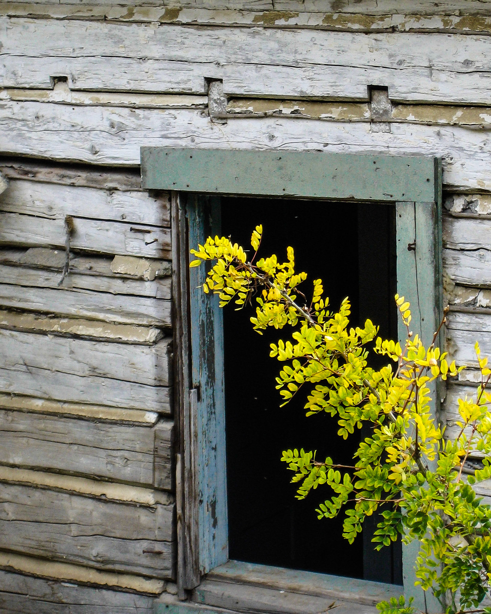 Telegraph Creek, British Columbia