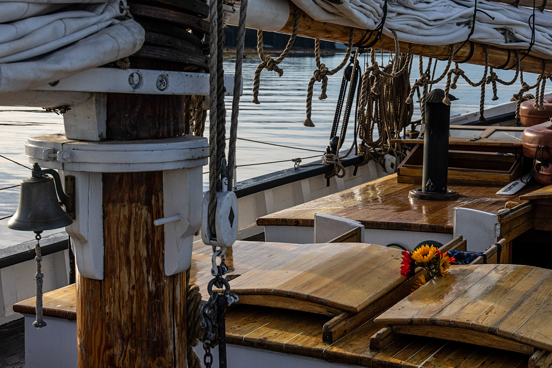 Warren Island State Park, ME