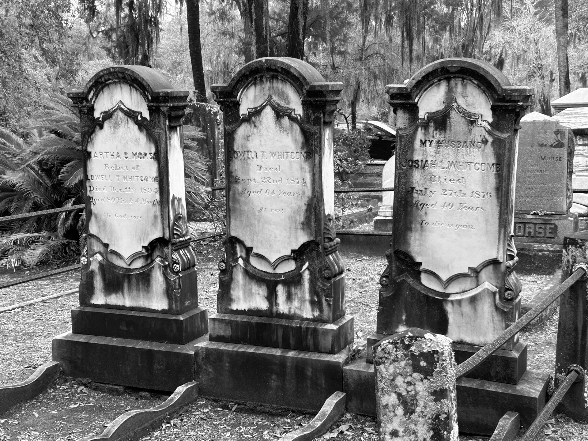 Bonaventure Cemetery, Savannah GA