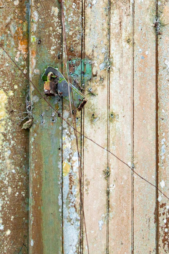 Avery Island Jungle Gardens LA