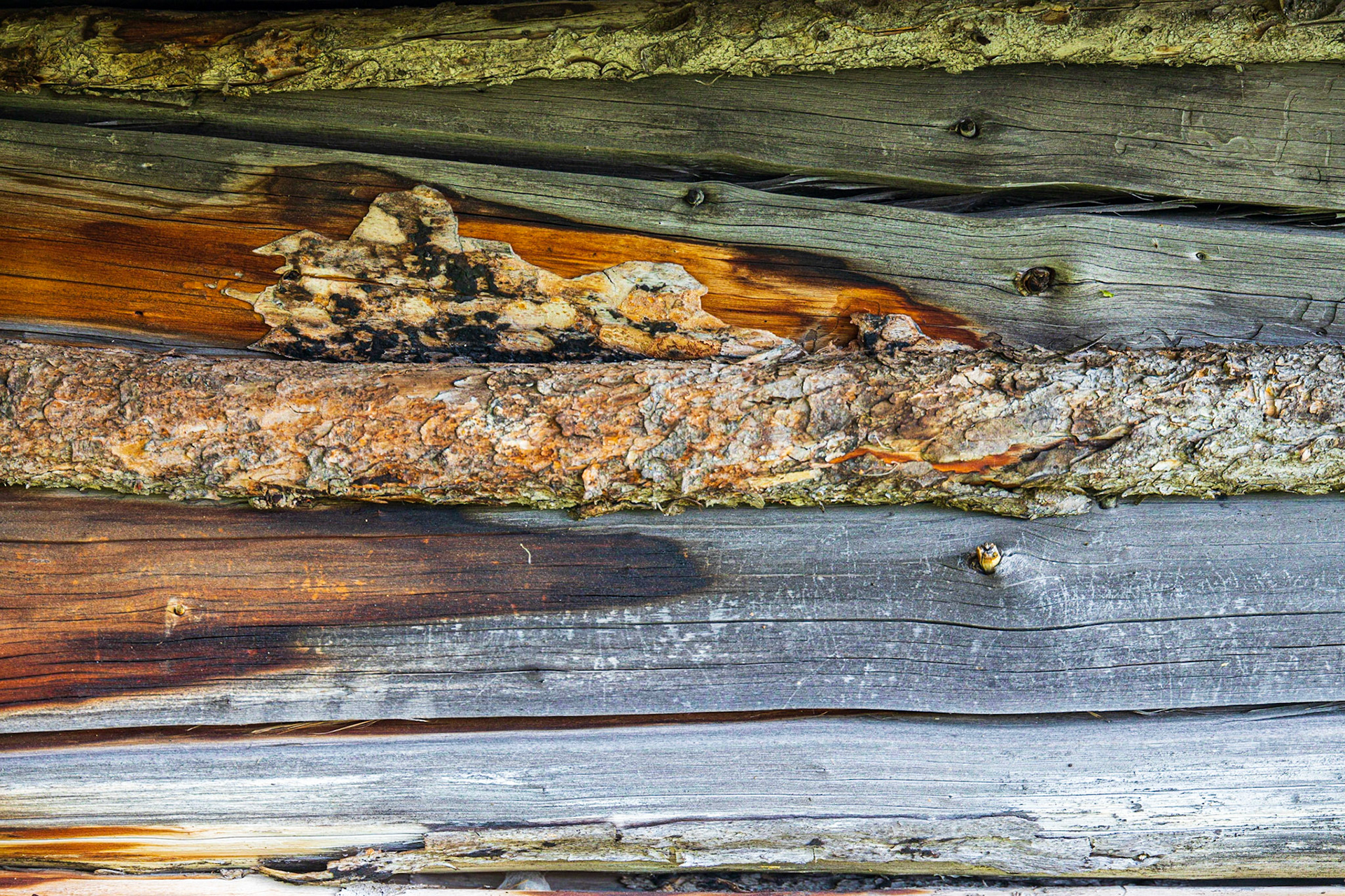 Patrol Cabin, Saskatchewan