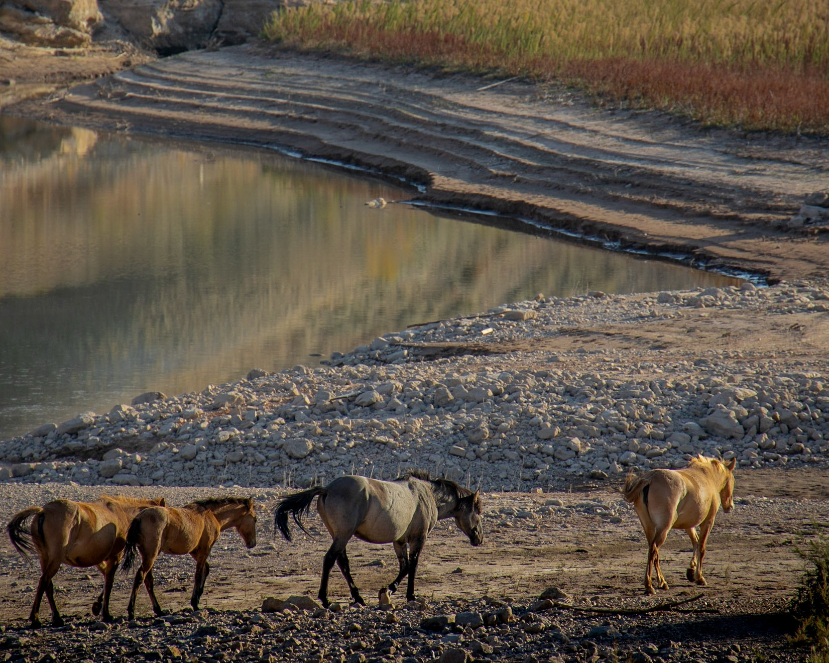 Bighorn Canyon National Rec Area,  Pryor MT