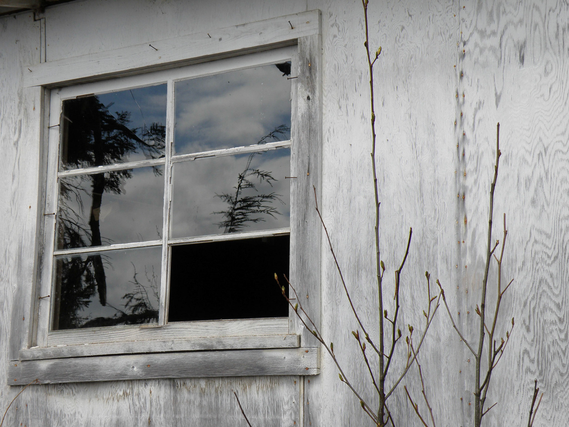 Stikine River, British Columbia
