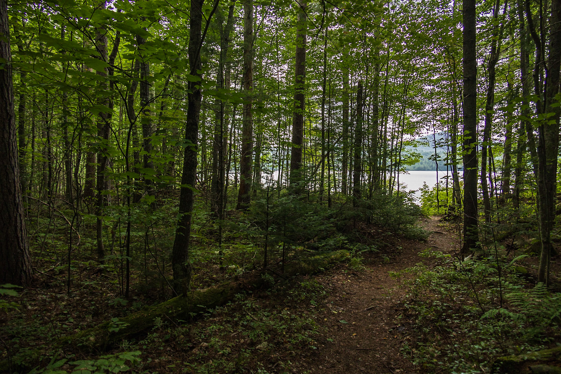 Buck Pond, Onchiota NY