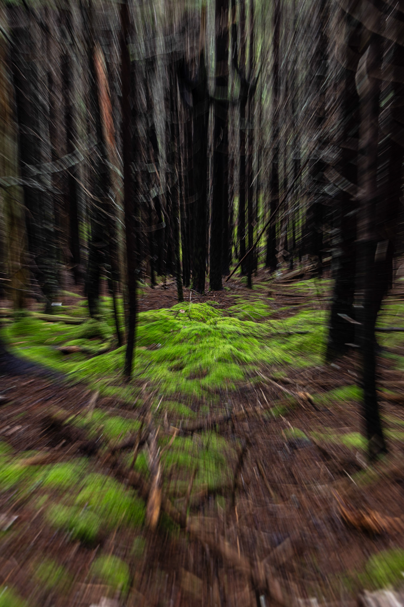Long Beach Brook Falls Trail, NB