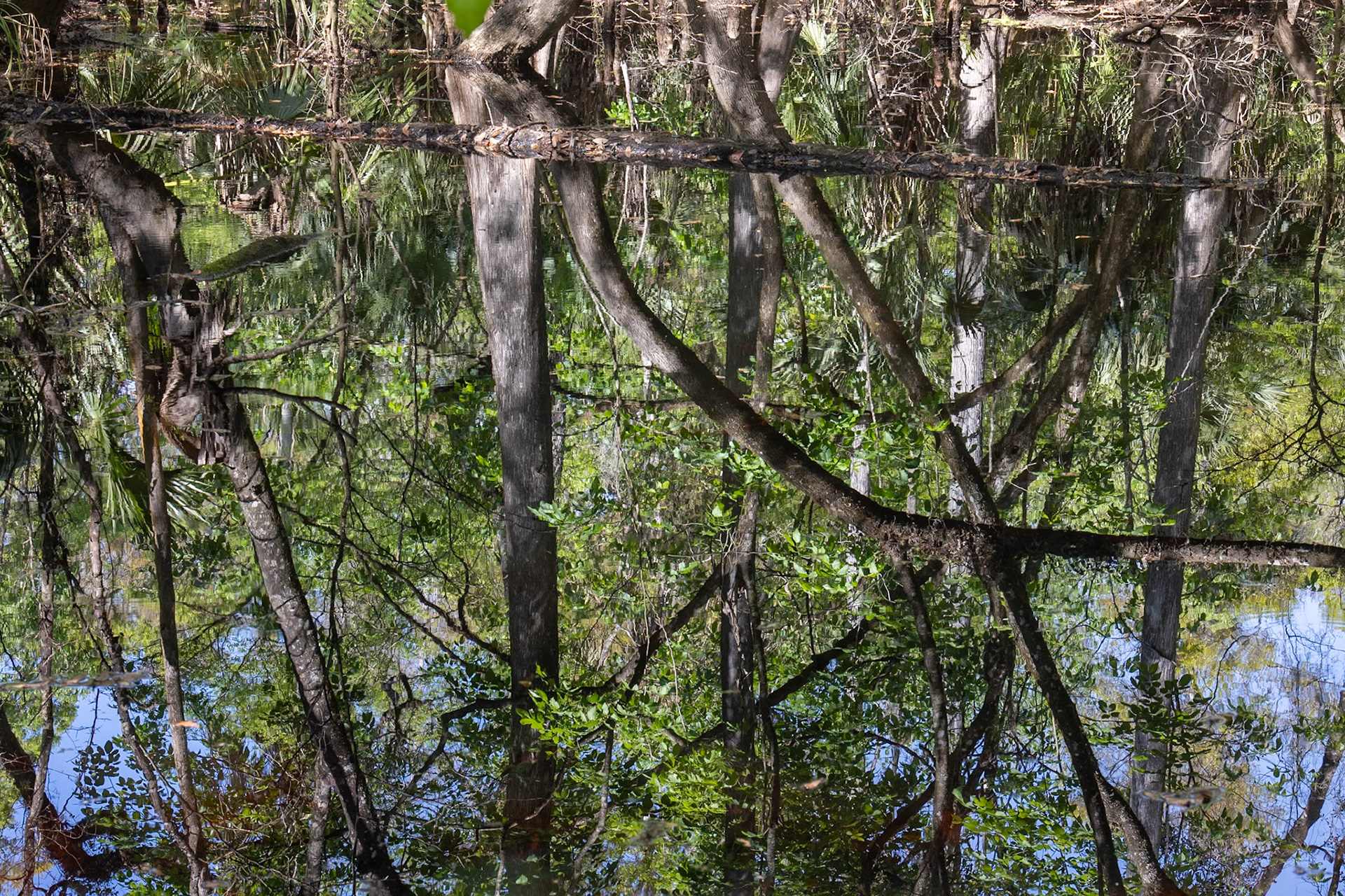 River Rapids Nature Trail, Tampa FL