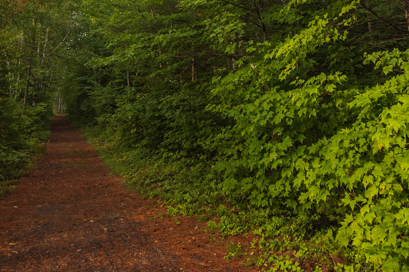 Buck Pond, Onchiota NY