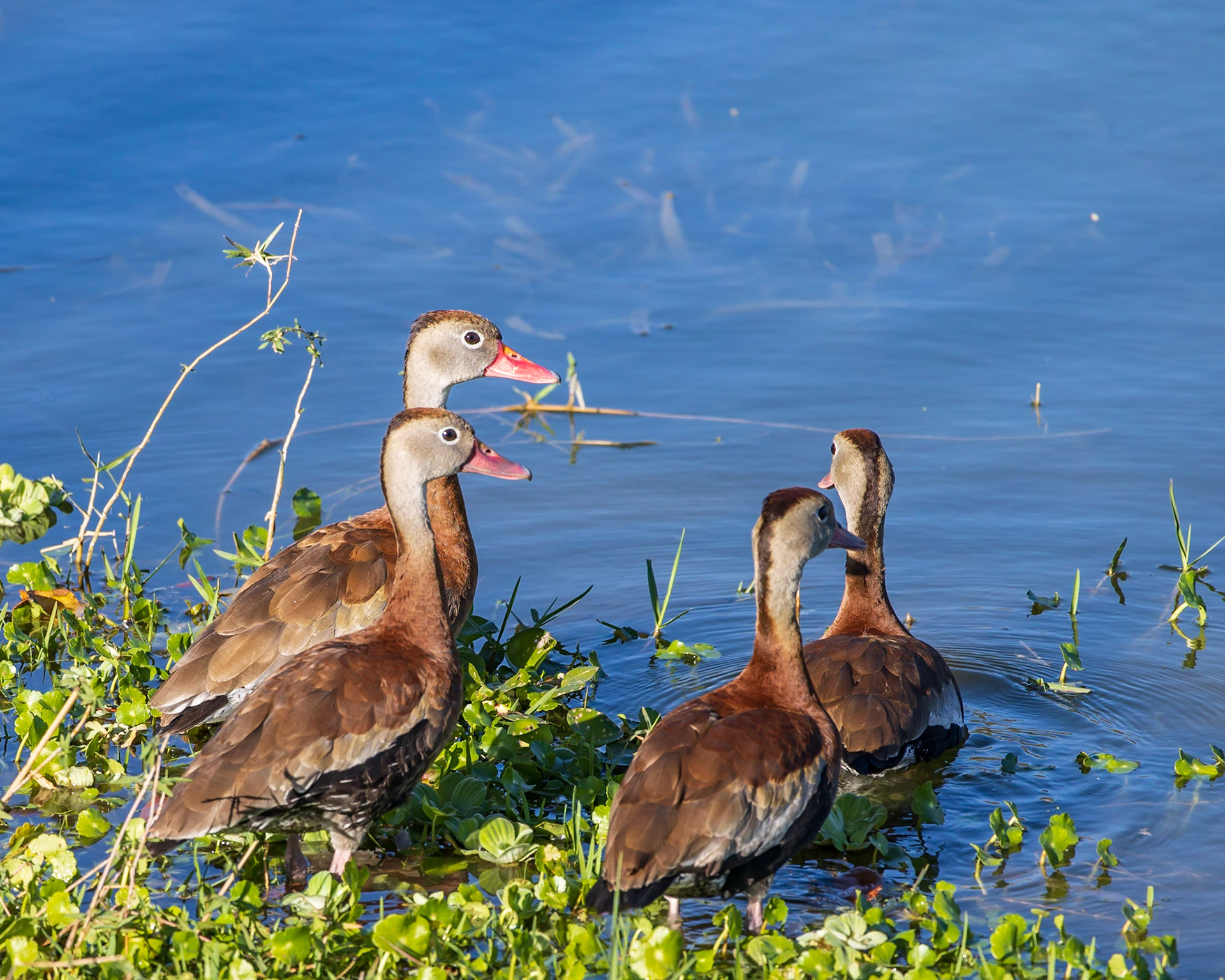 Wilderness Park CG, Fussels Corner, FL