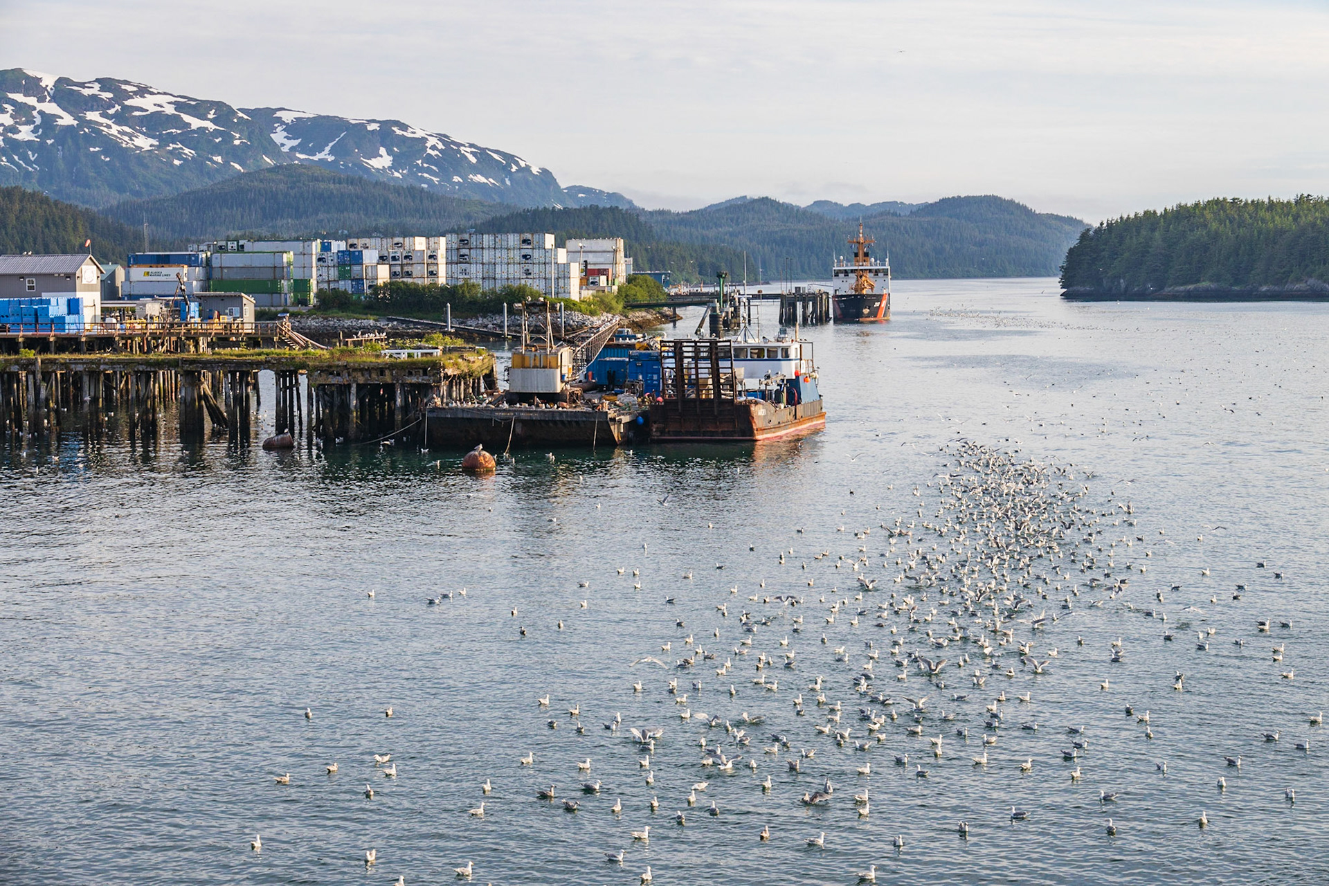 Auroa Ferry to Cordova AK