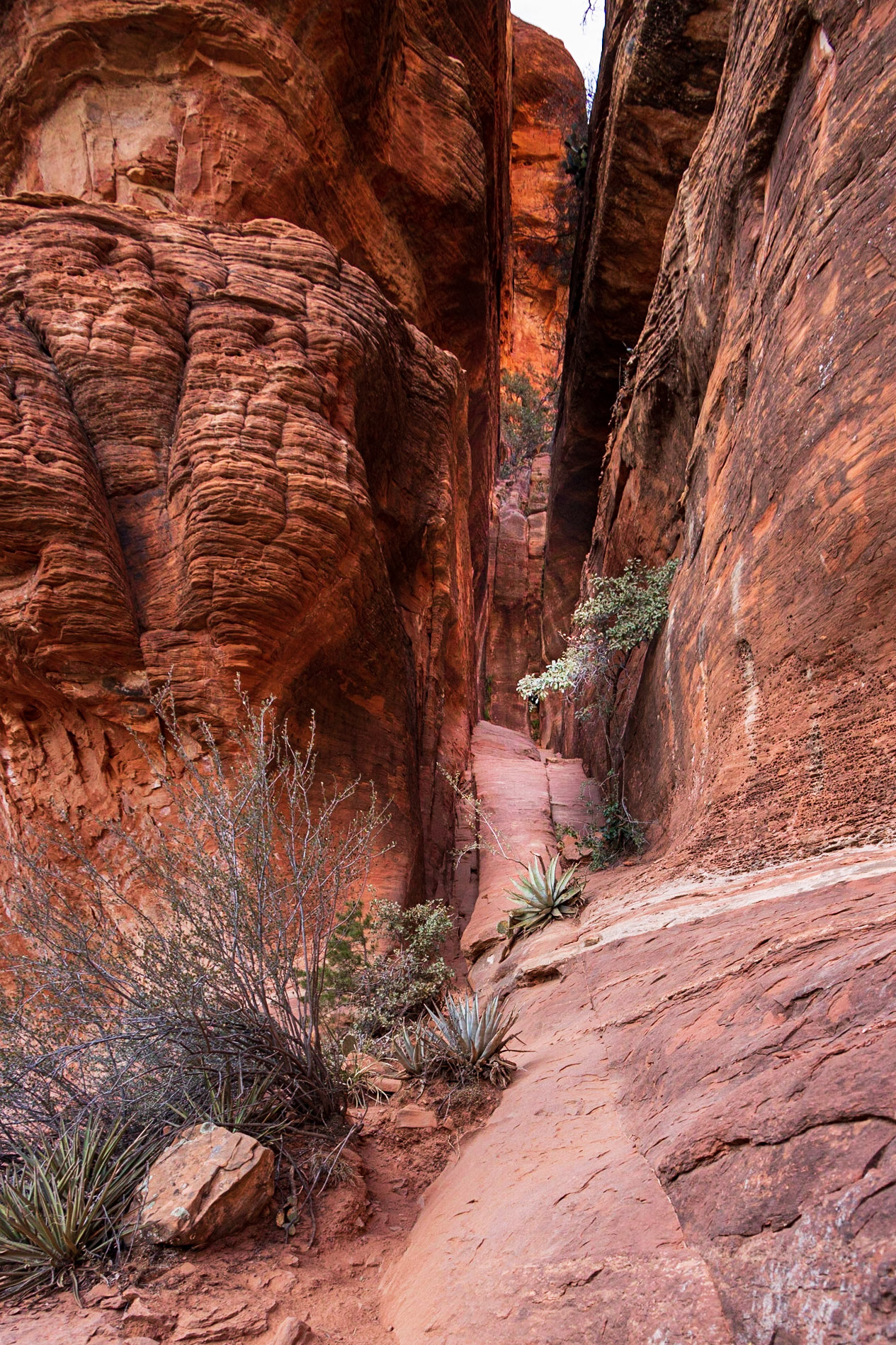 Boynton Canyon Trail, Sedona AZ