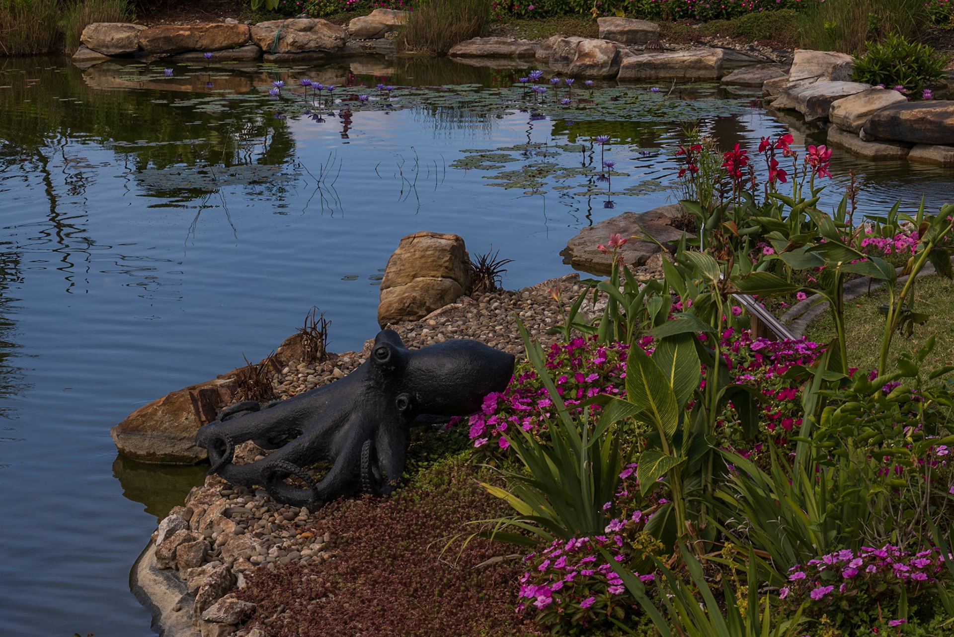 Punta Gorda Botanical Garden, FL