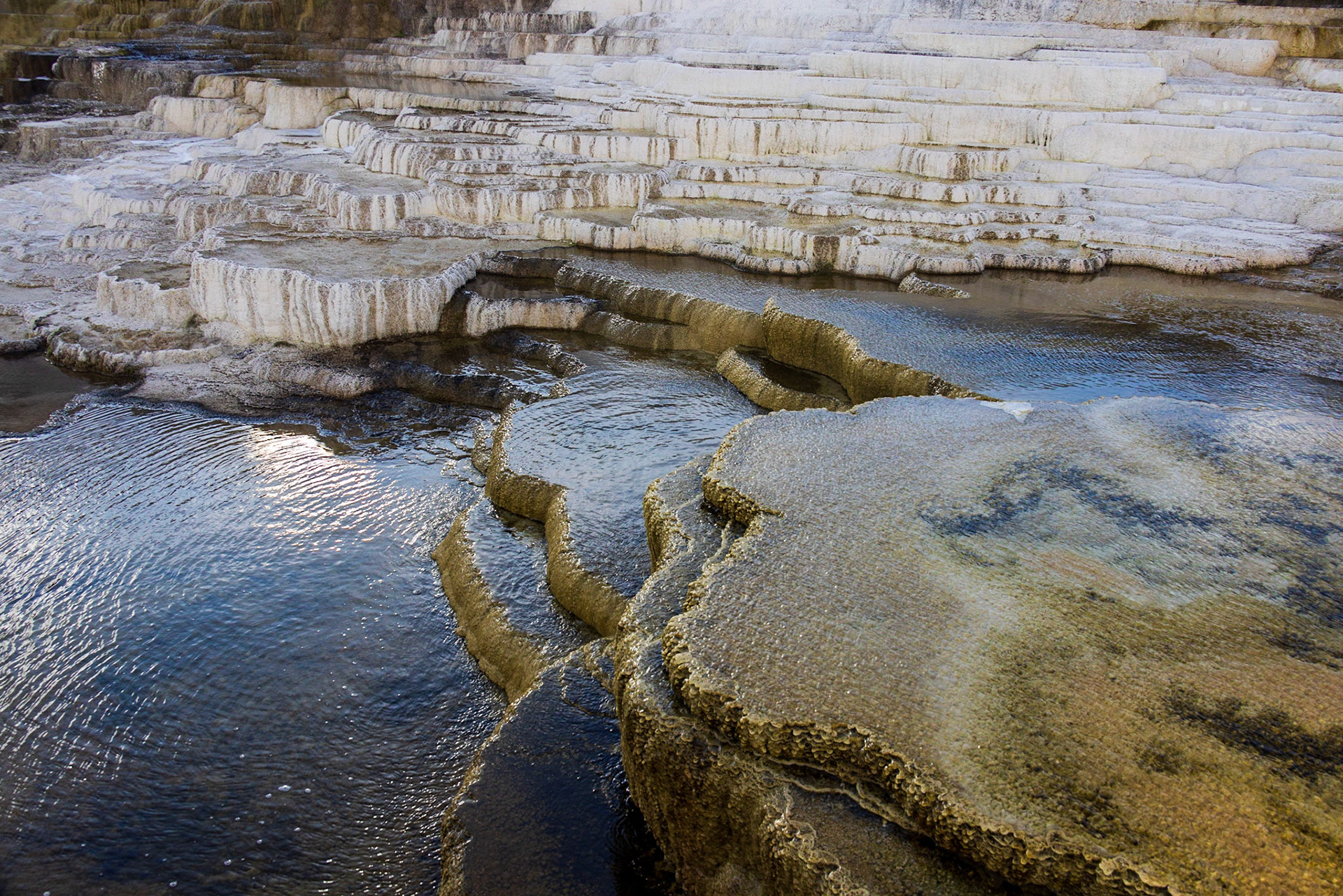 Mammoth Hot Springs, Yellowstone NP WY