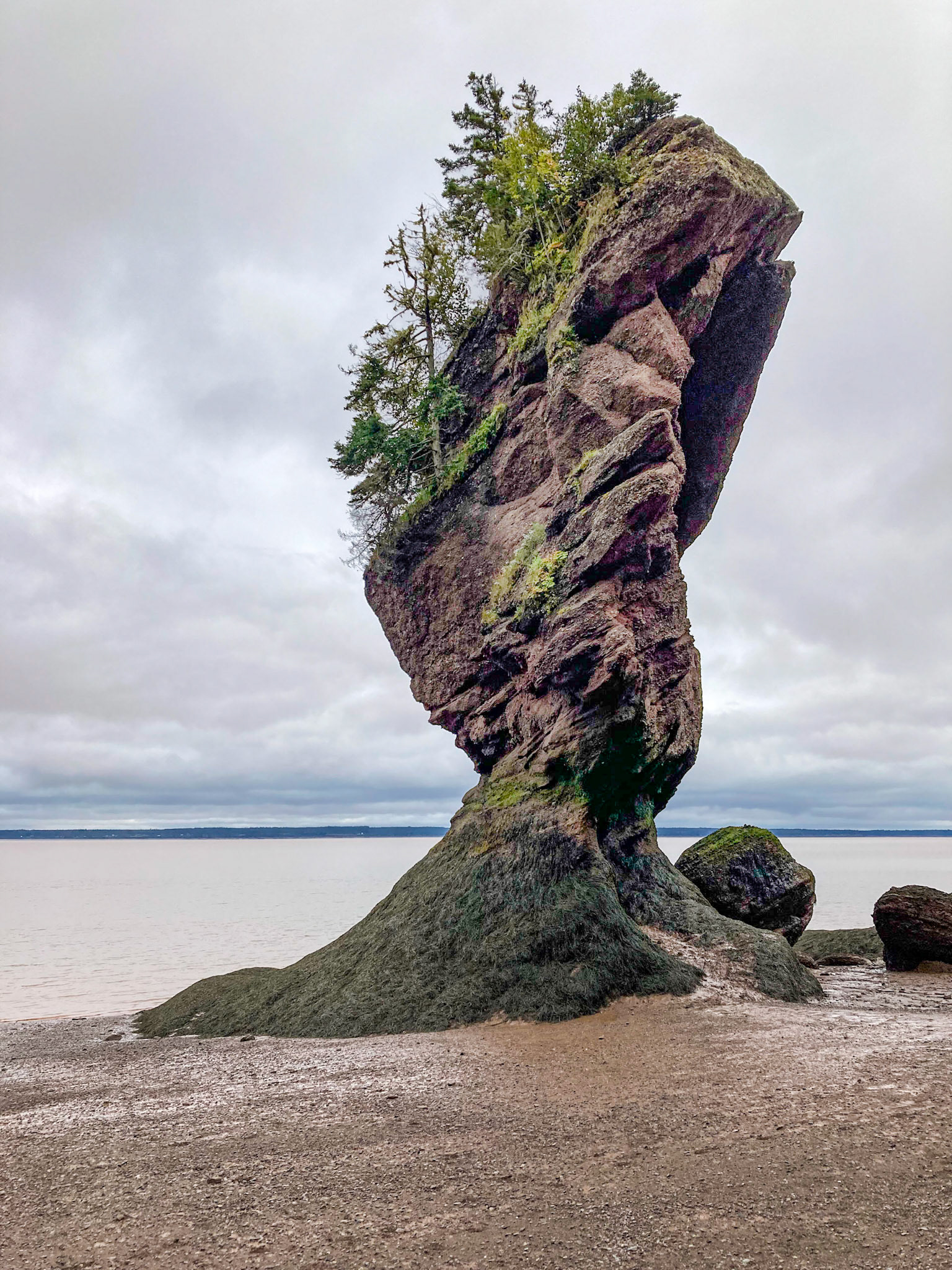 Hopewell Rocks PP, New Brunswick