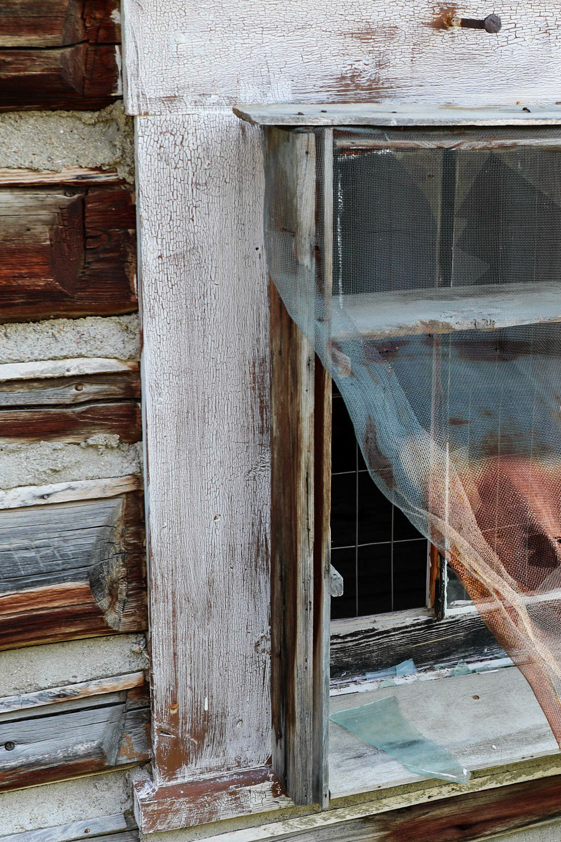 Mill Creek, Tobbacco Root Mts  MT