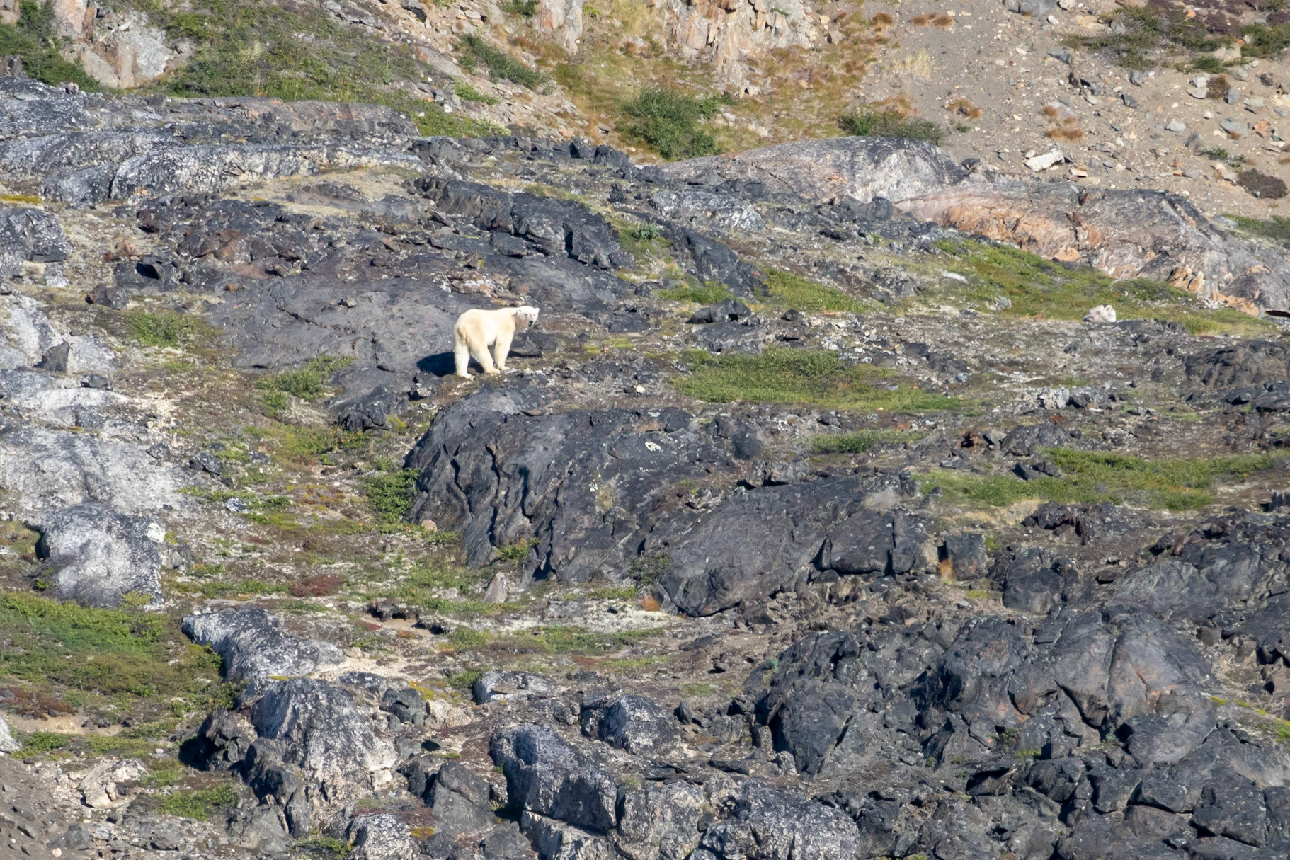 Field Trip up the North Arm, Torngat Mtns, NL