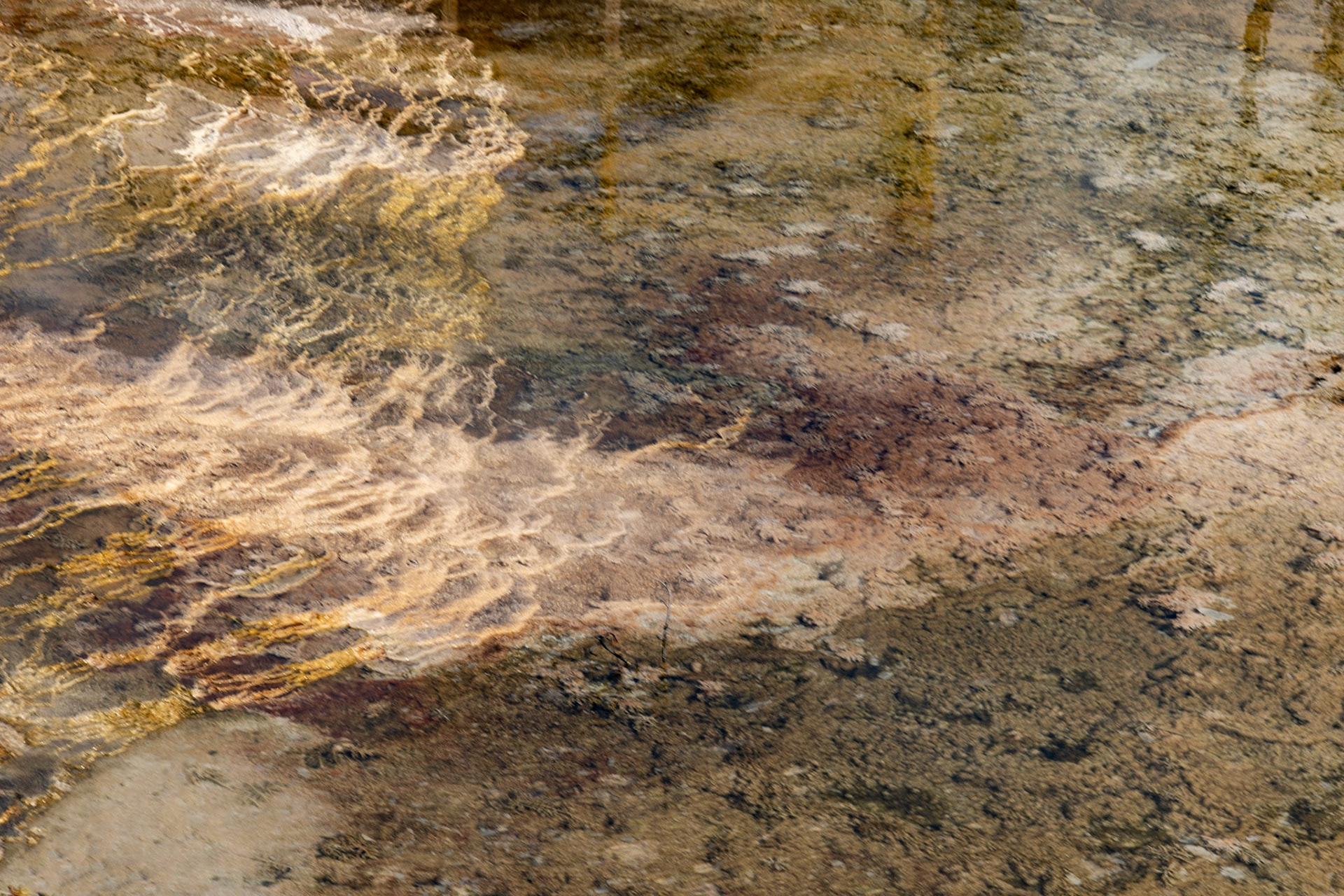 Mammoth Hot Springs, Yellowstone NP WY