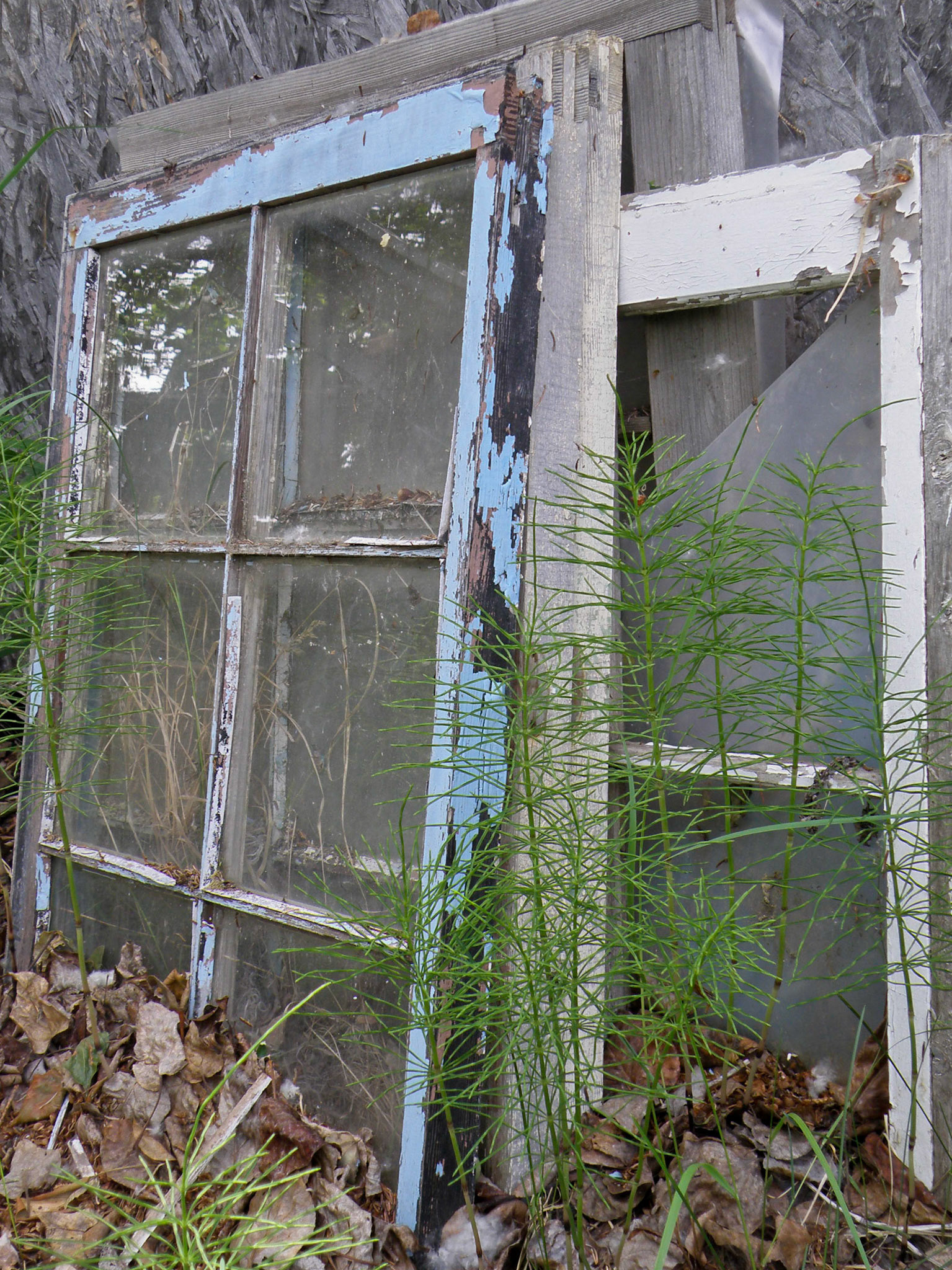 Sawmill Lake, British Columnia