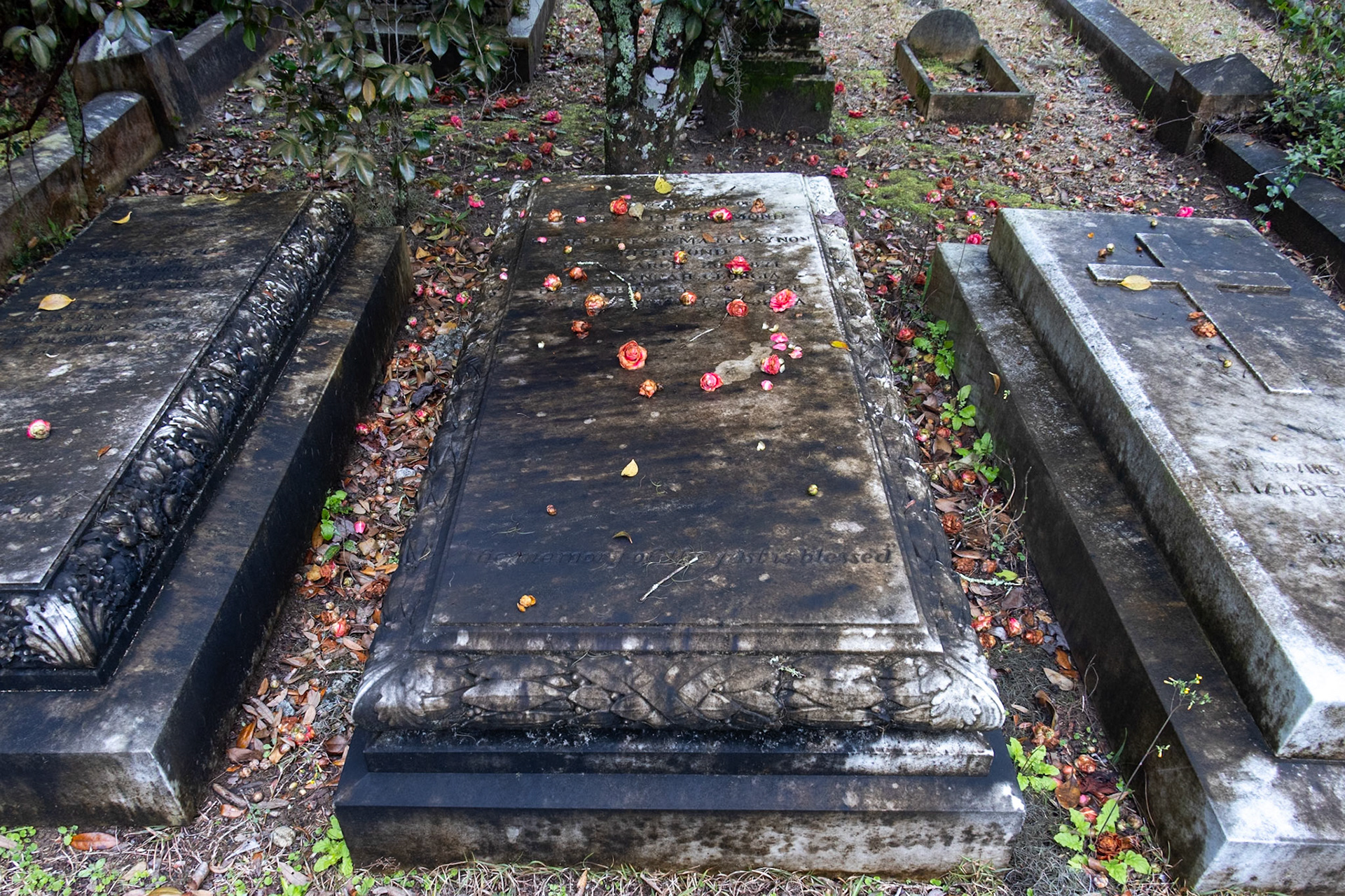 Bonaventure Cemetery, Savannah GA