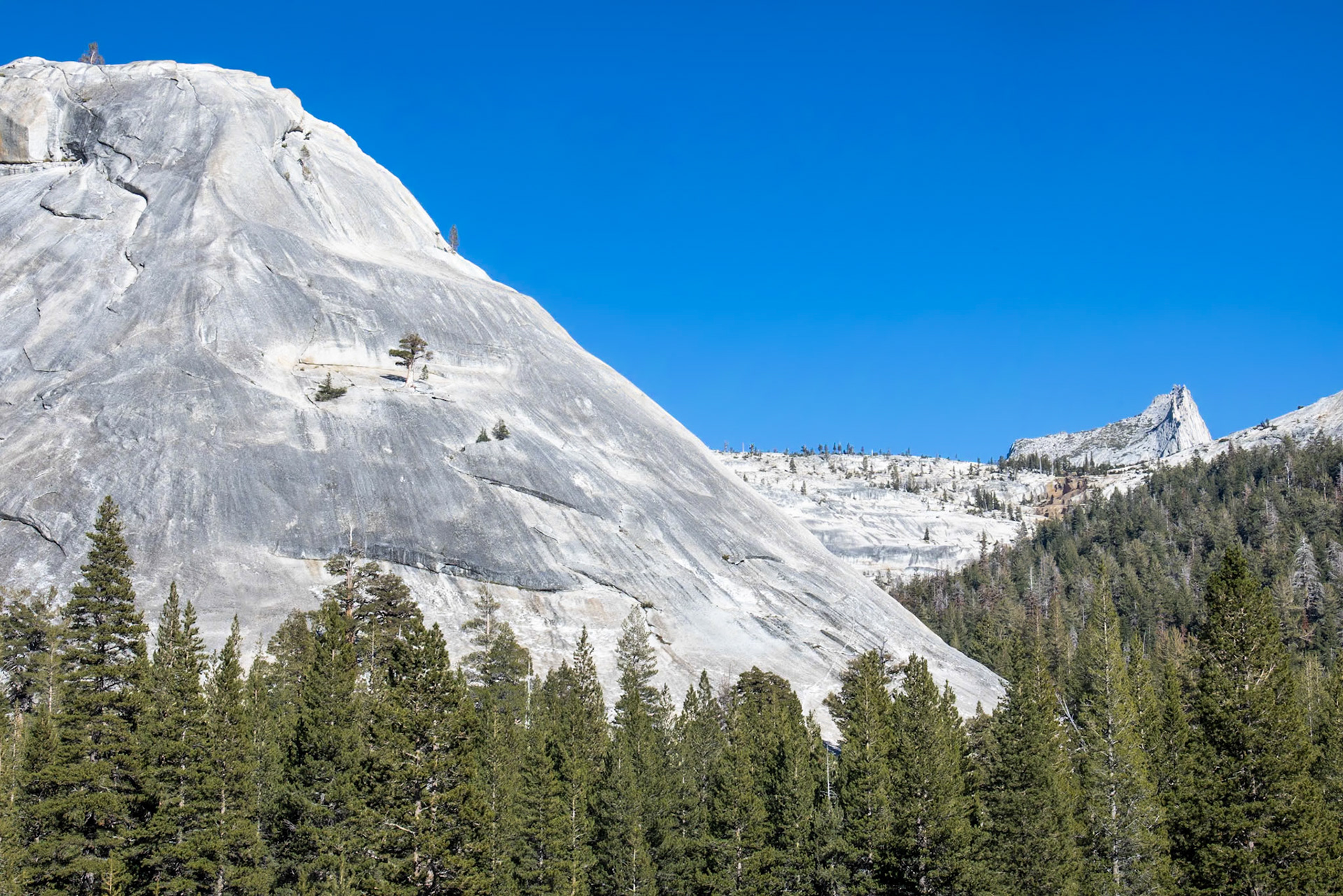 Tioga Pass Road, CA