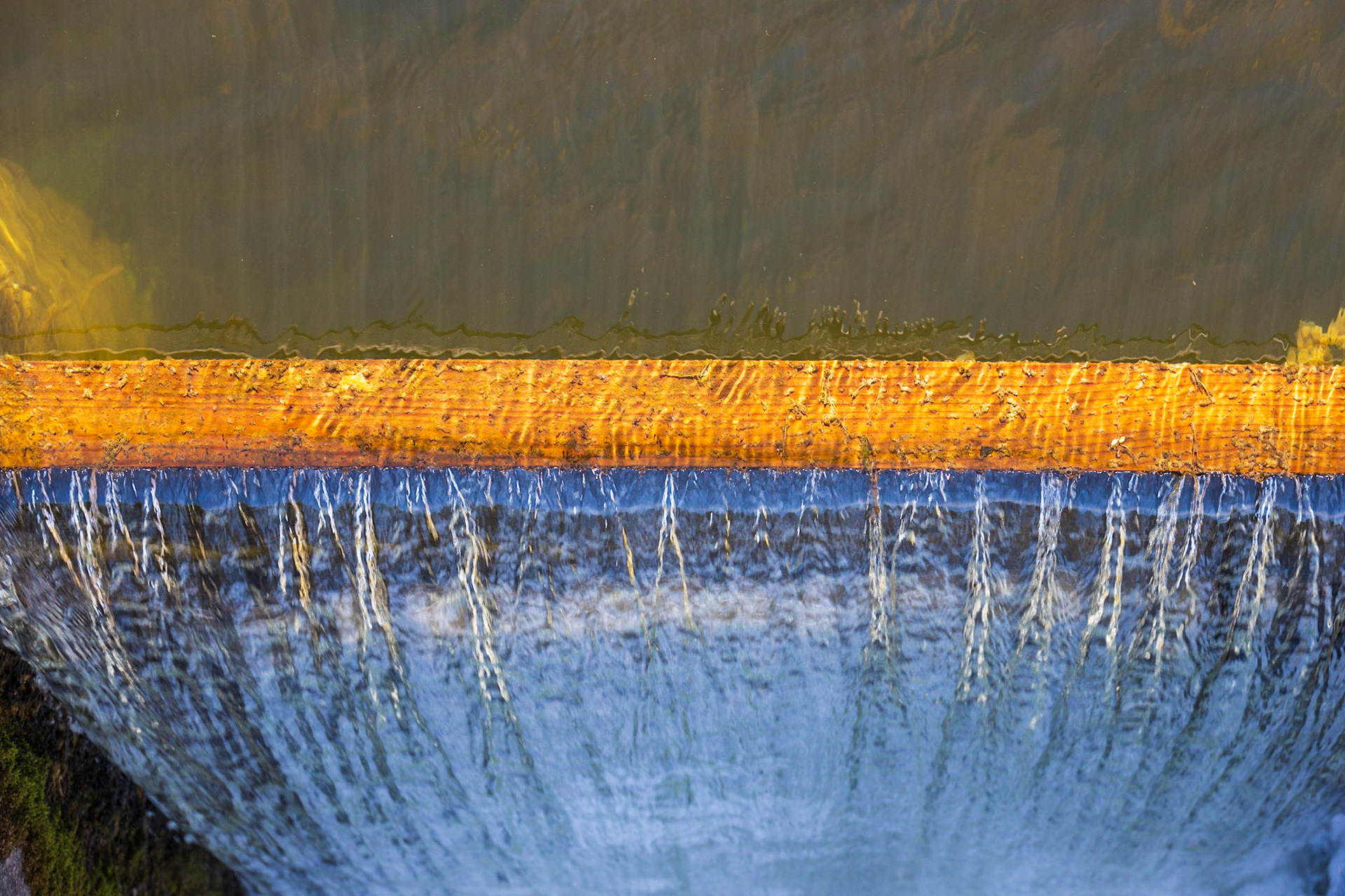 Blind Sucker State Forest CG UP MI