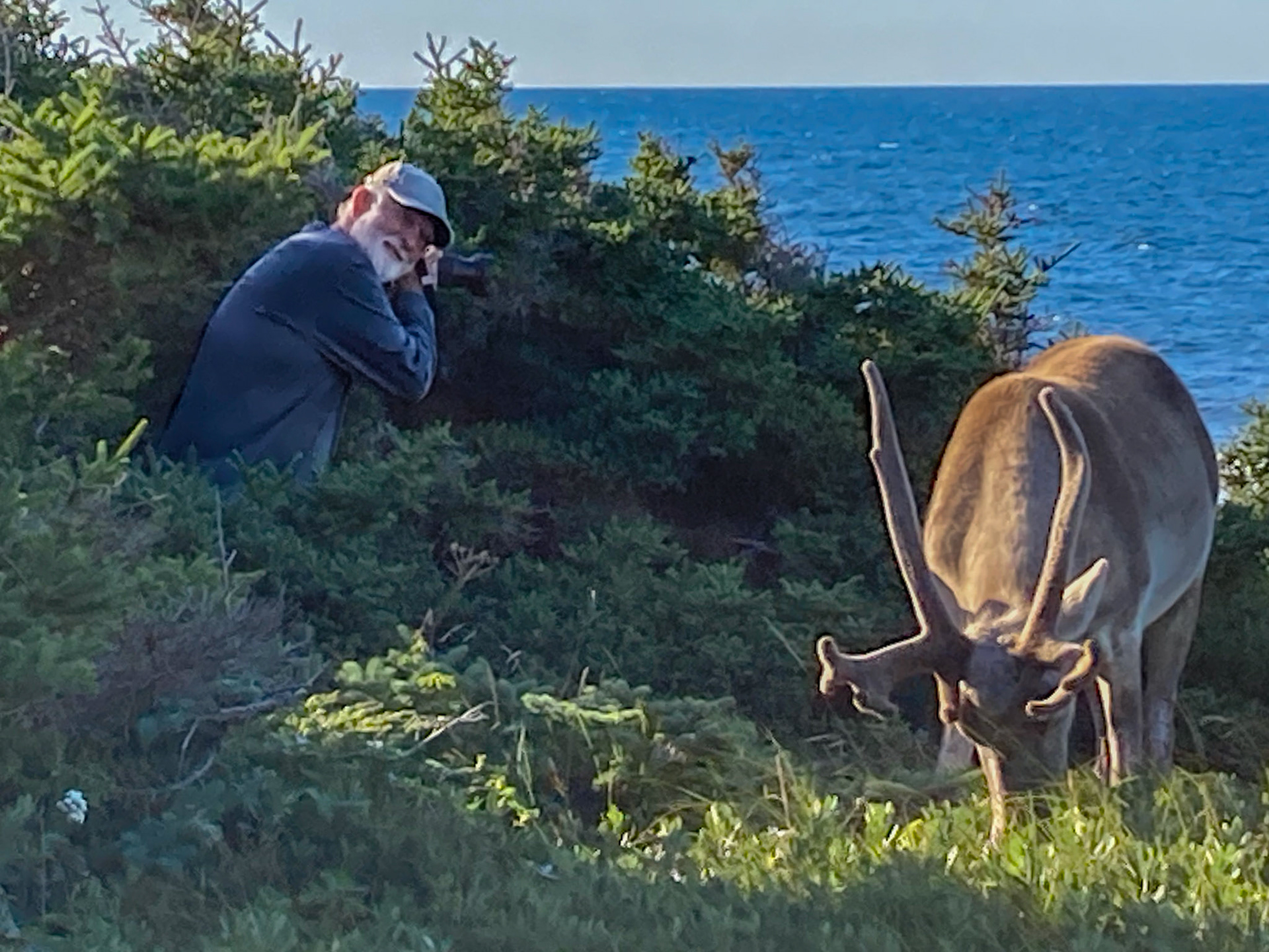 Port au Choix Seashore, NL