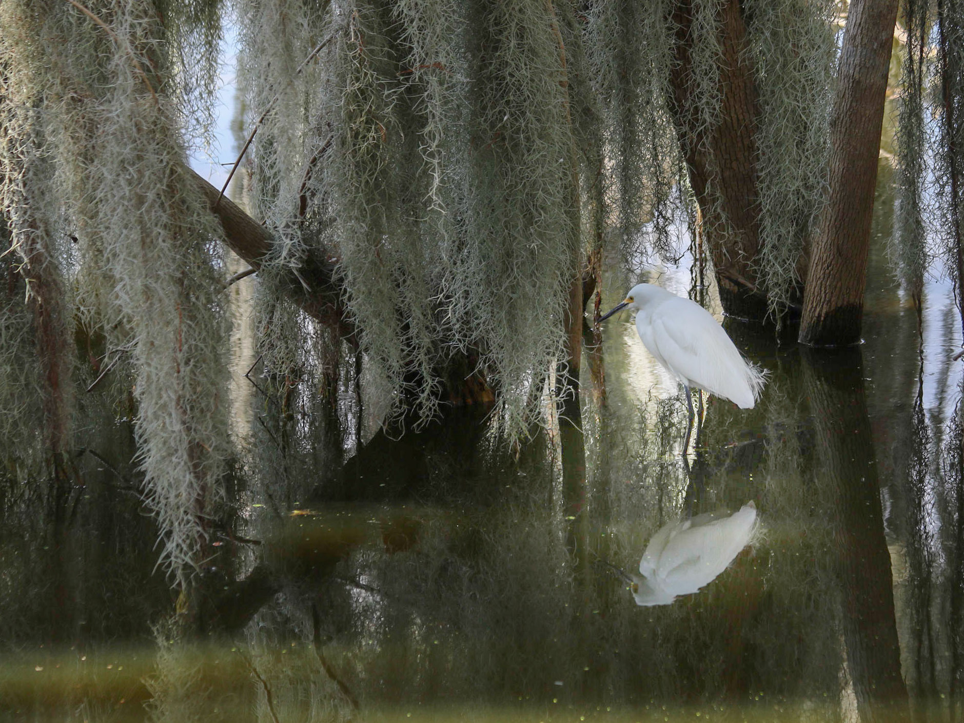Circle B Bar Reserve, Lakeland FL
