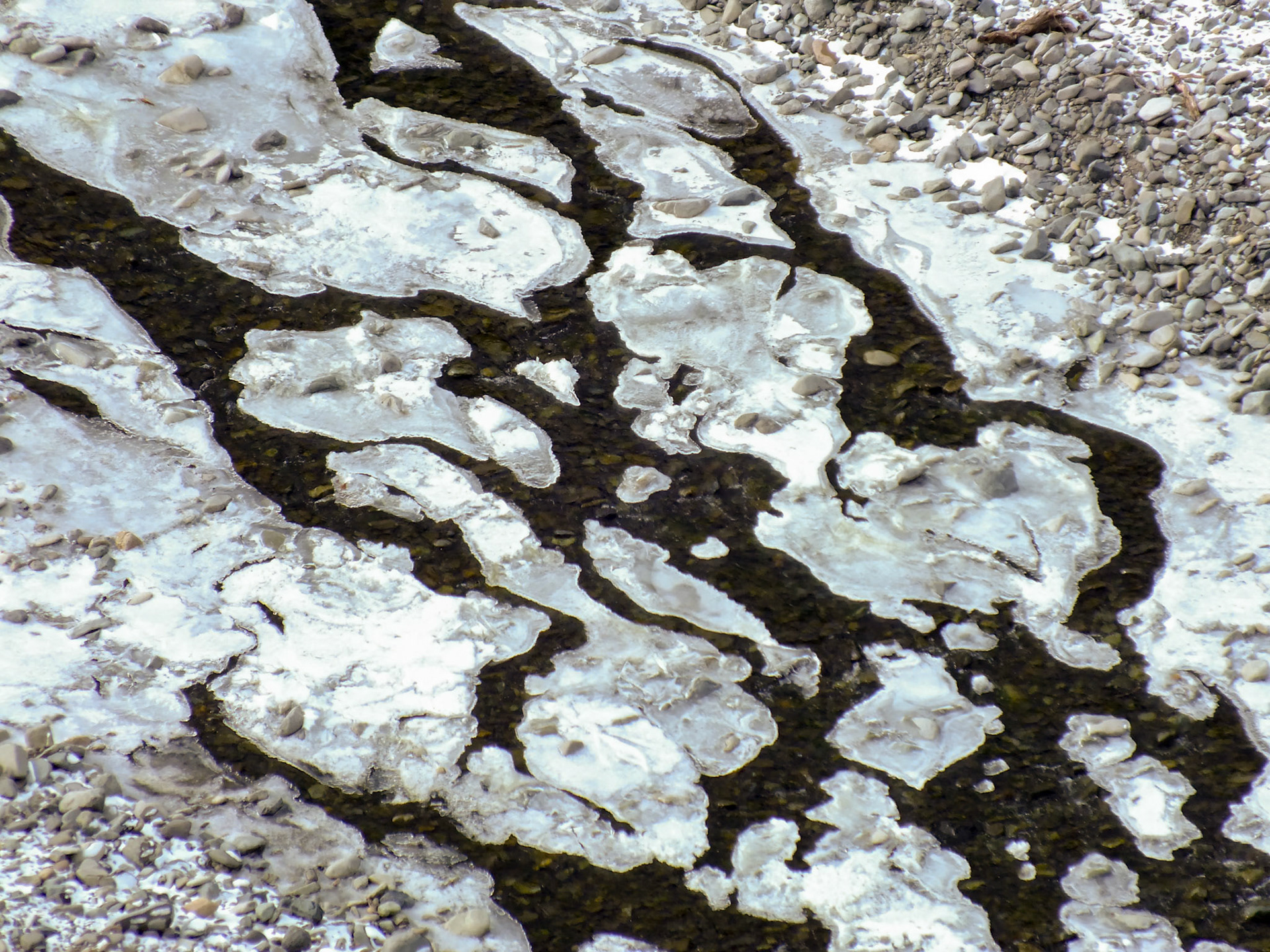 Shoshonee Willderness, WY