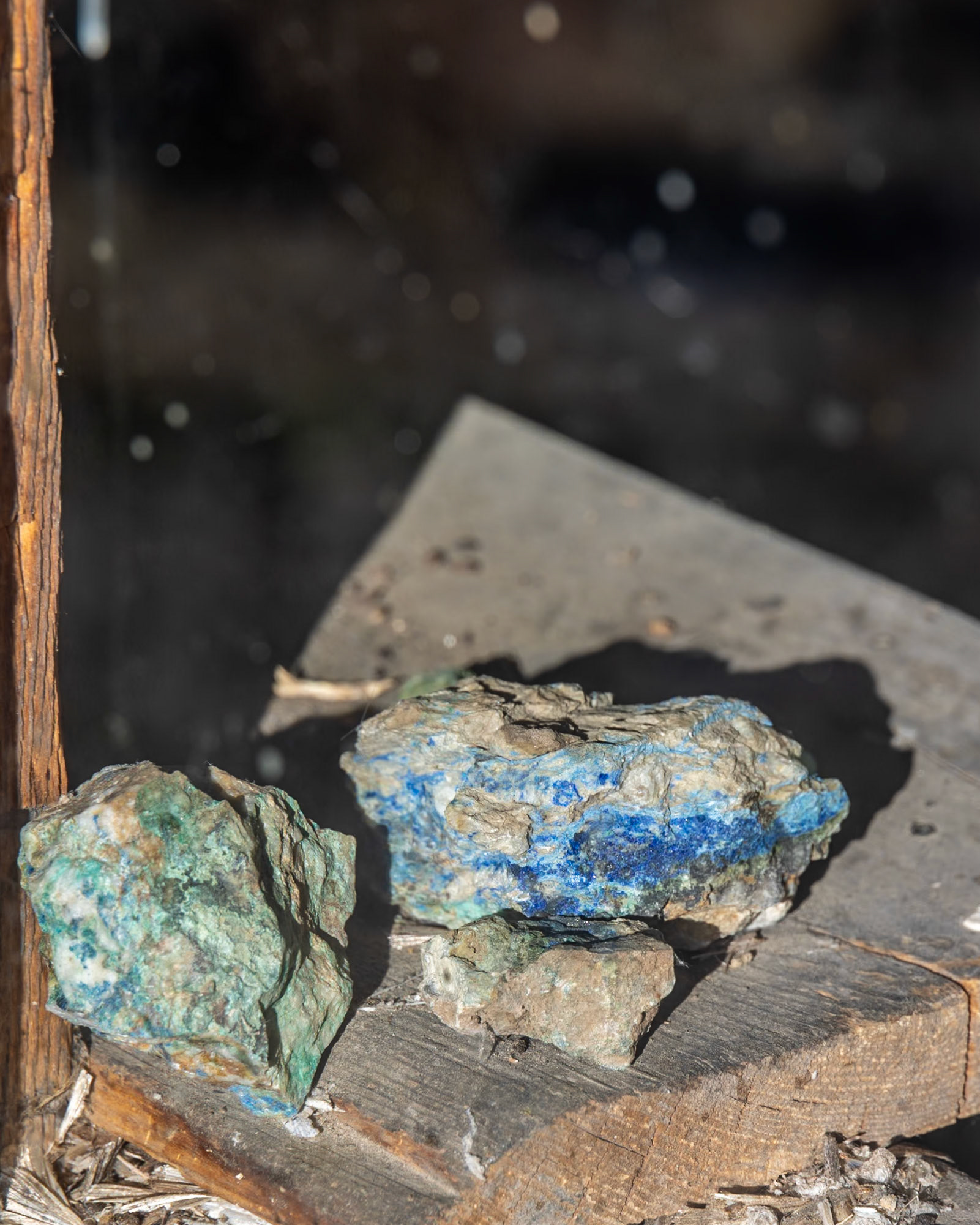 Berlin-Ichthysaur SP, Berlin NV