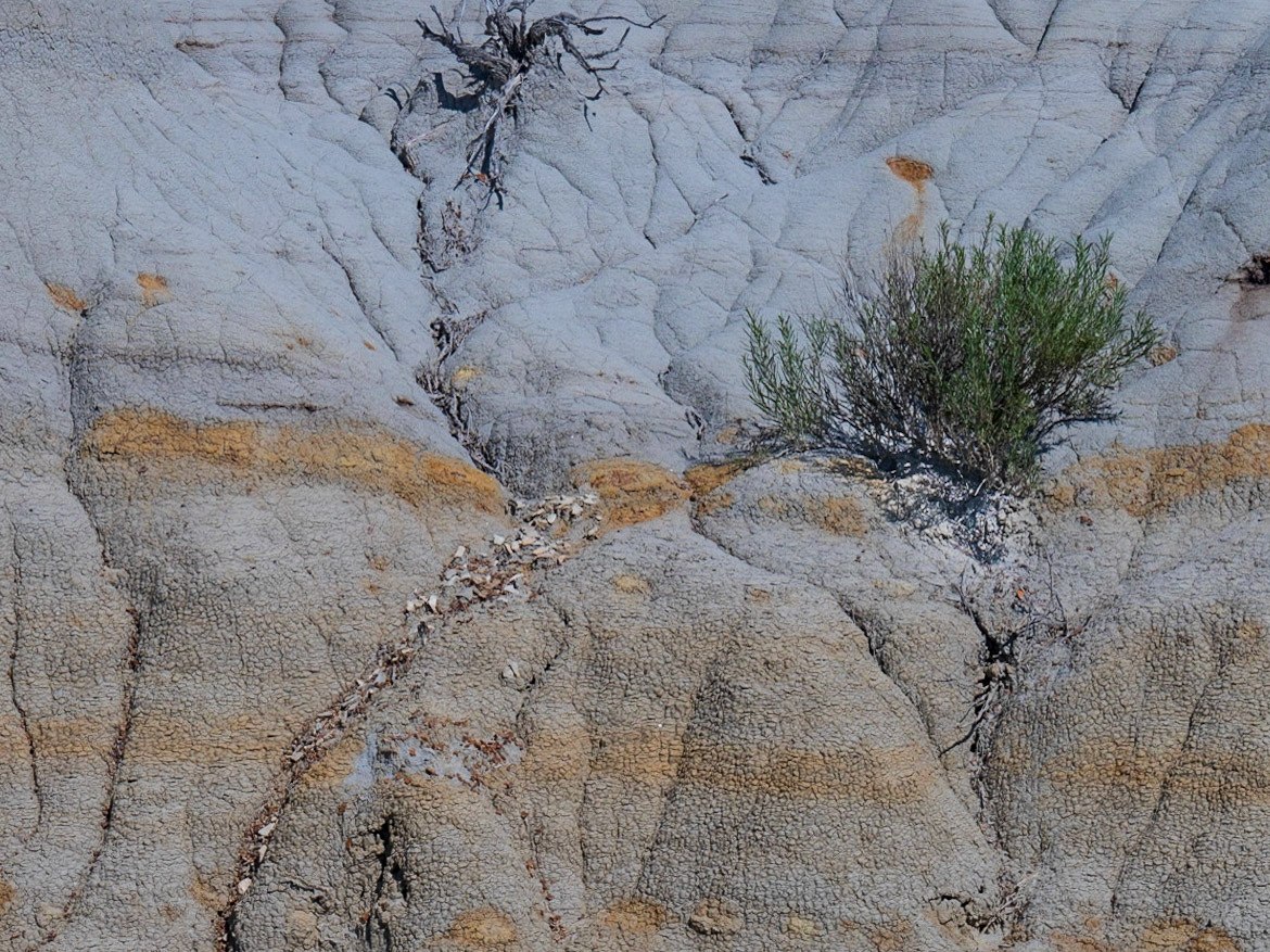 Theodore Roosevelt NP, South Unit, ND