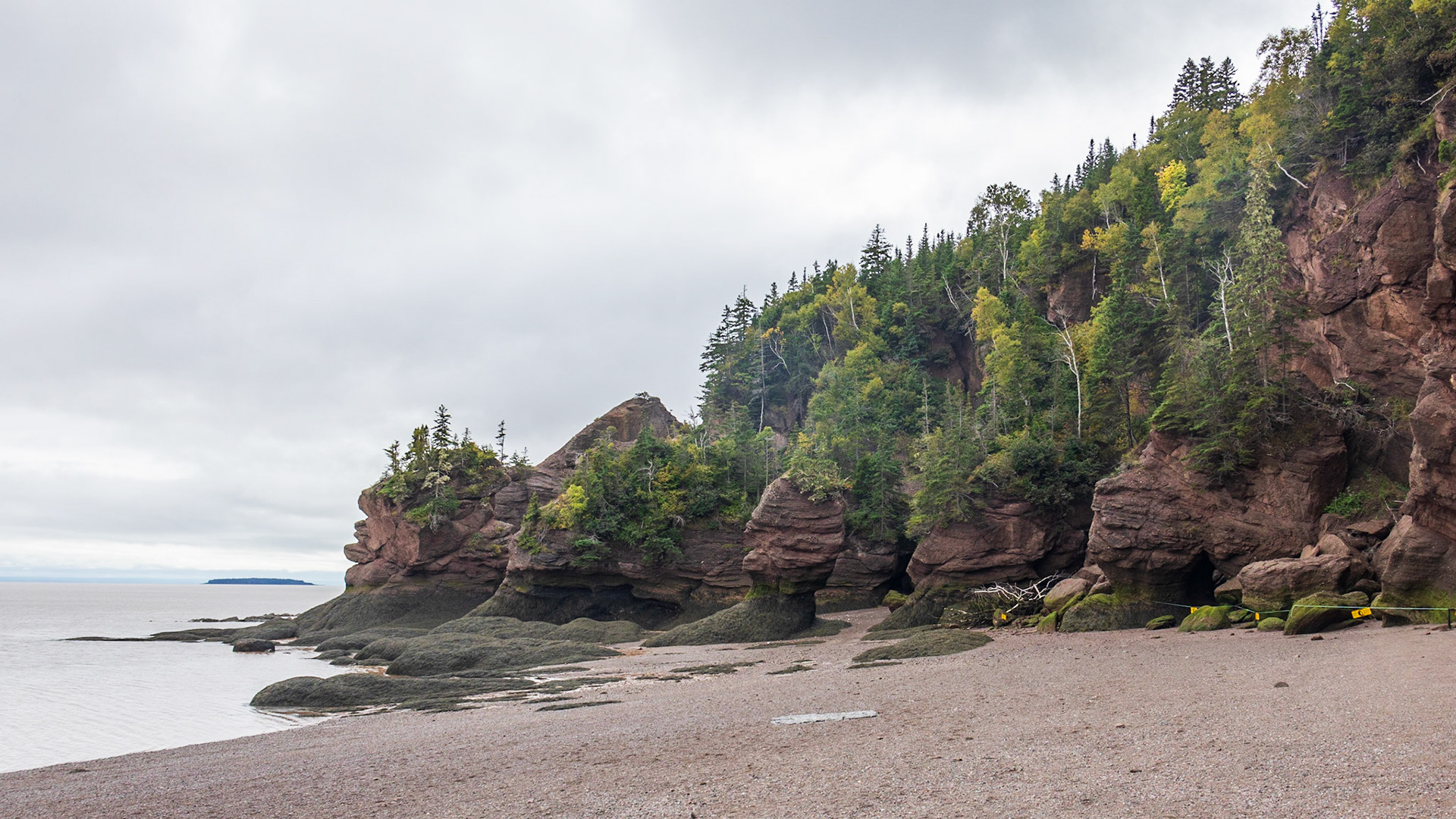 Hopewell Rocks PP, New Brunswick
