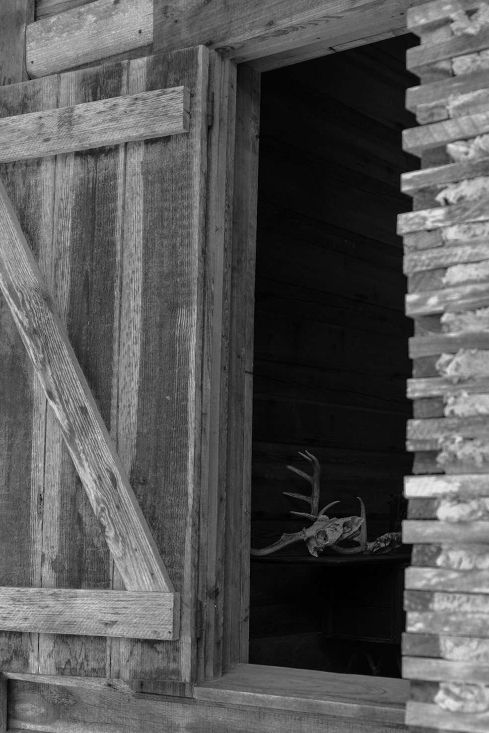 Forest Capital Museum SP