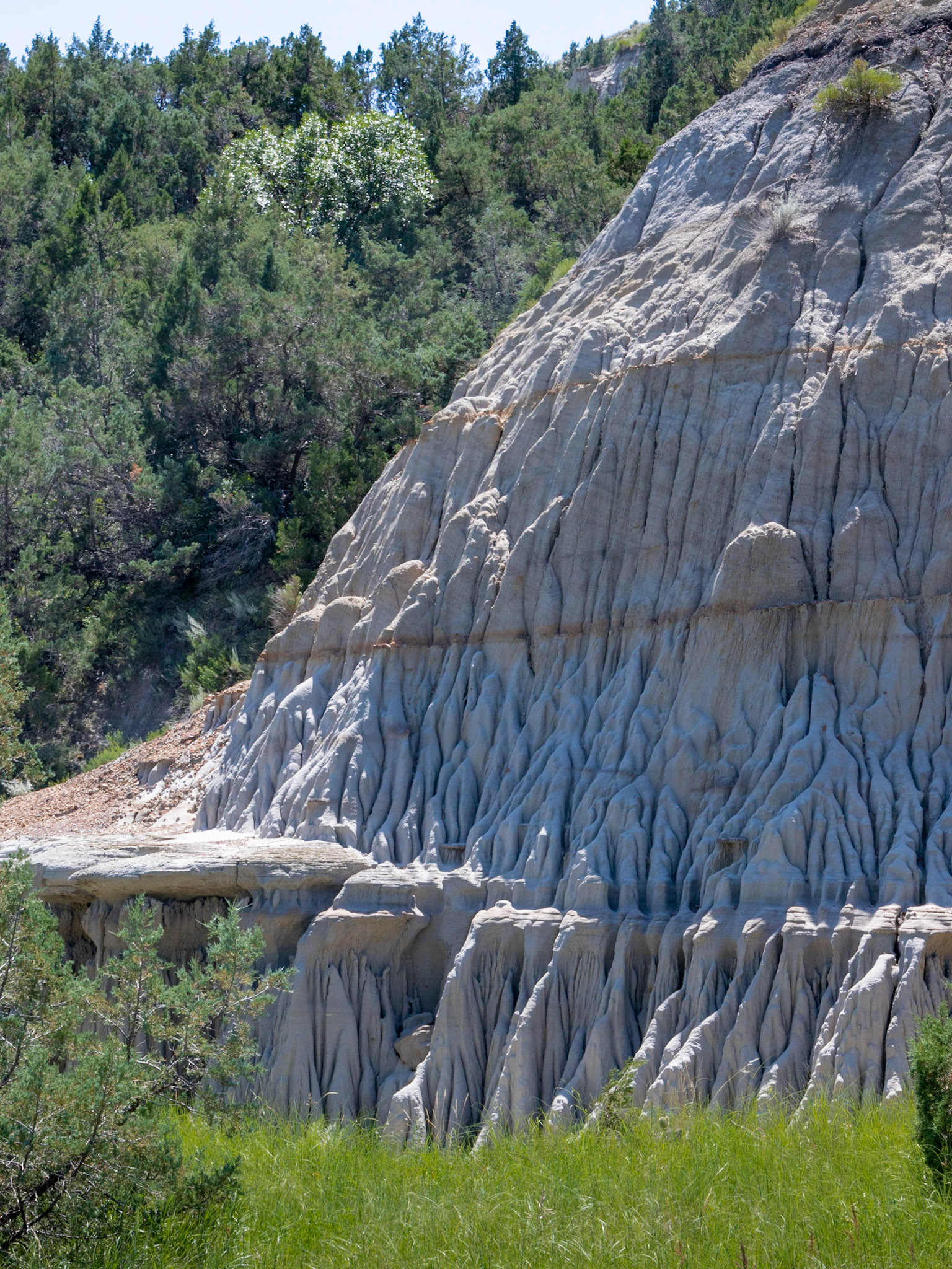 Theodore Roosevelt NP, North Unit, ND