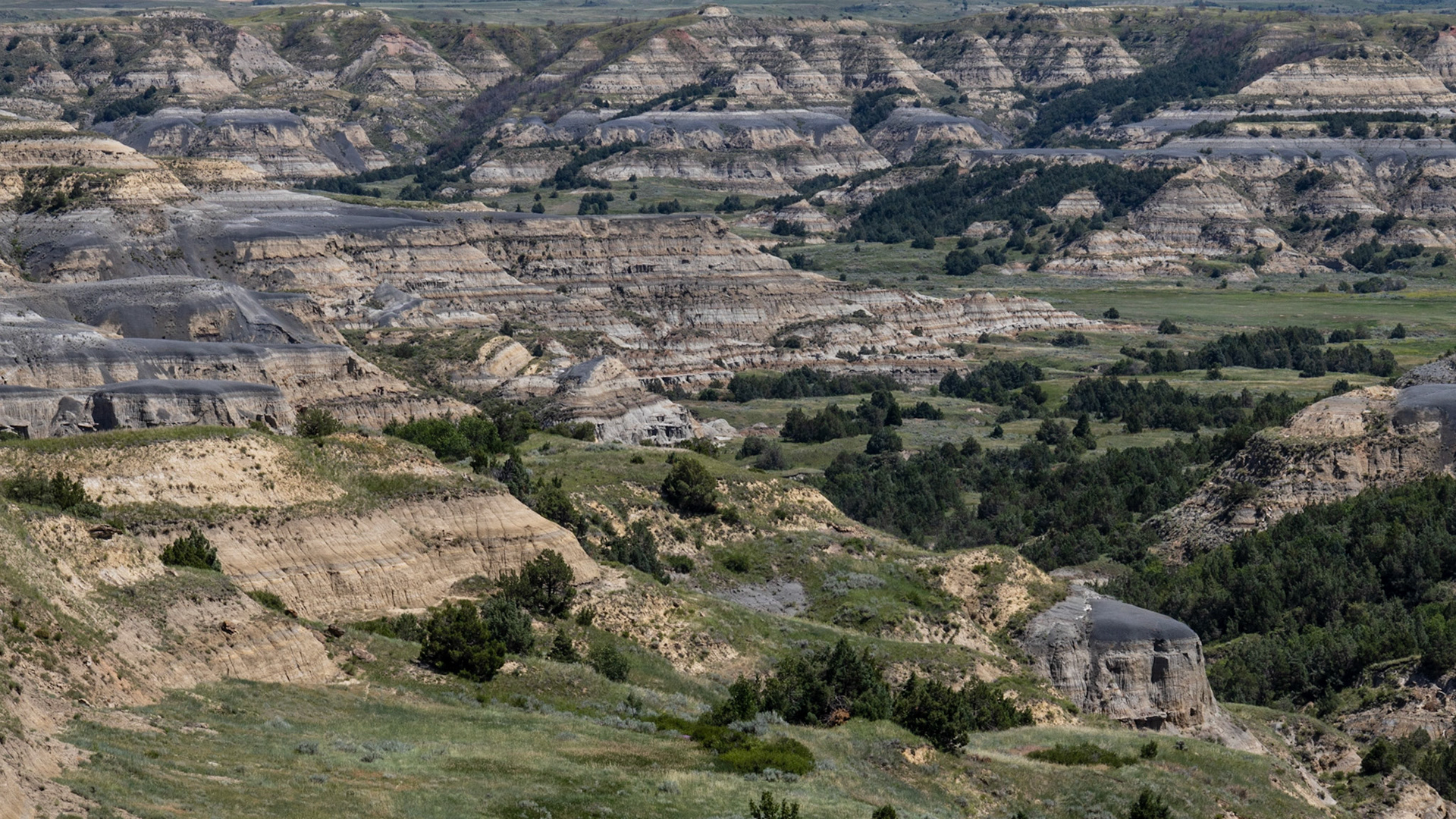Theodore Roosevelt NP, North Unit, ND