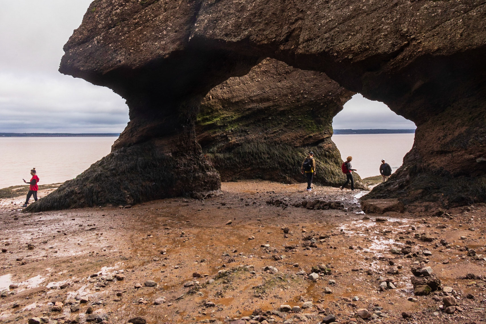 Hopewell Rocks PP, New Brunswick