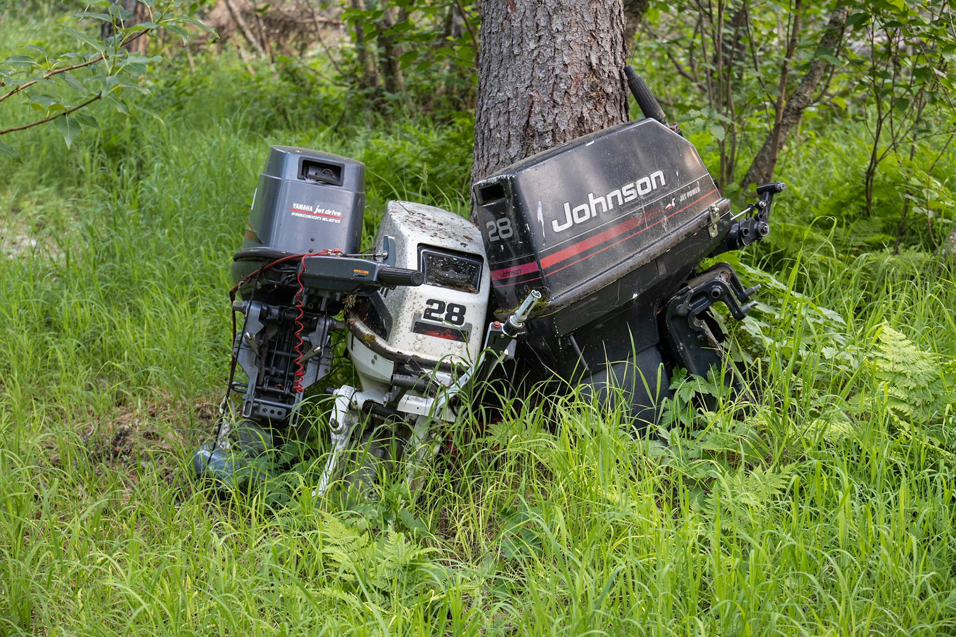 Marabou Camp Trip, AK
