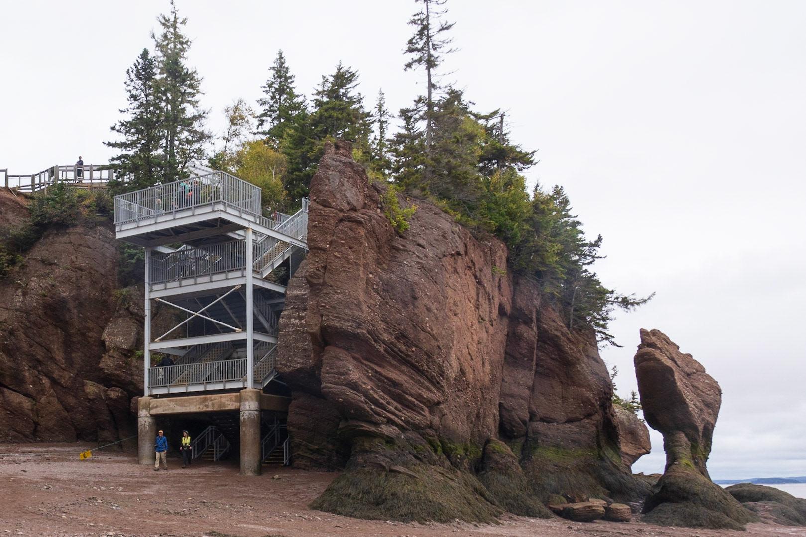 Hopewell Rocks PP, New Brunswick