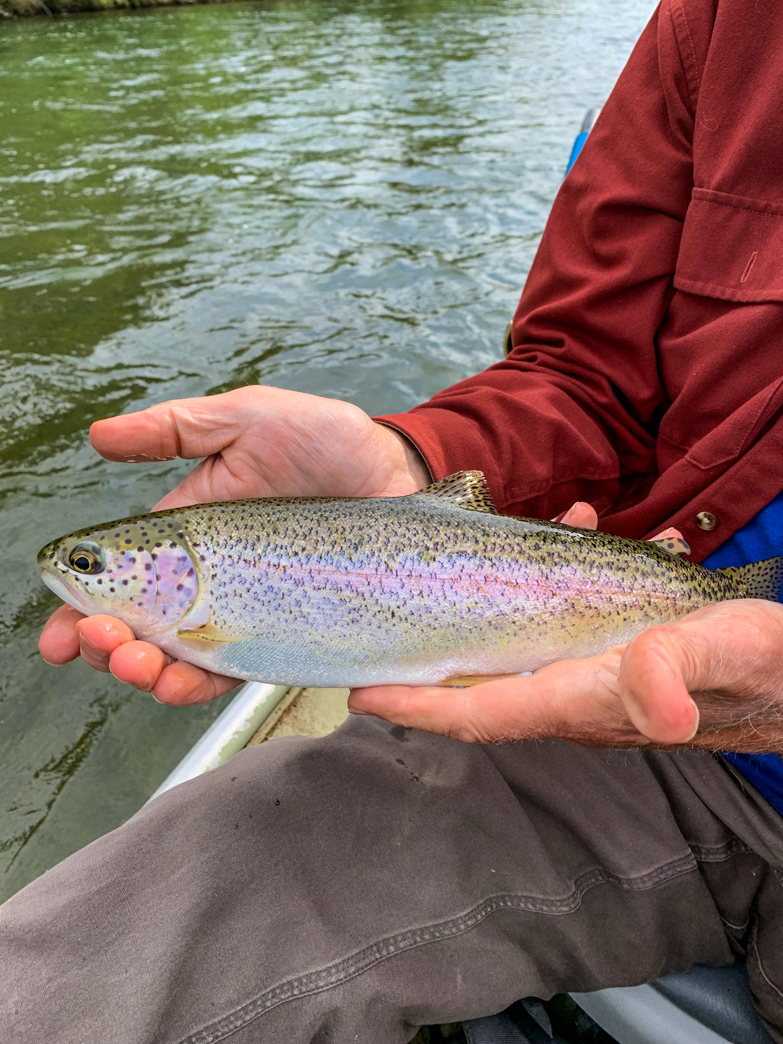 Marabou Camp Trip, AK