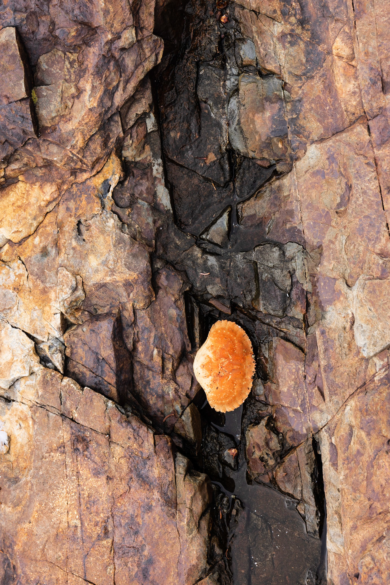 Little Hunters Beach, ME