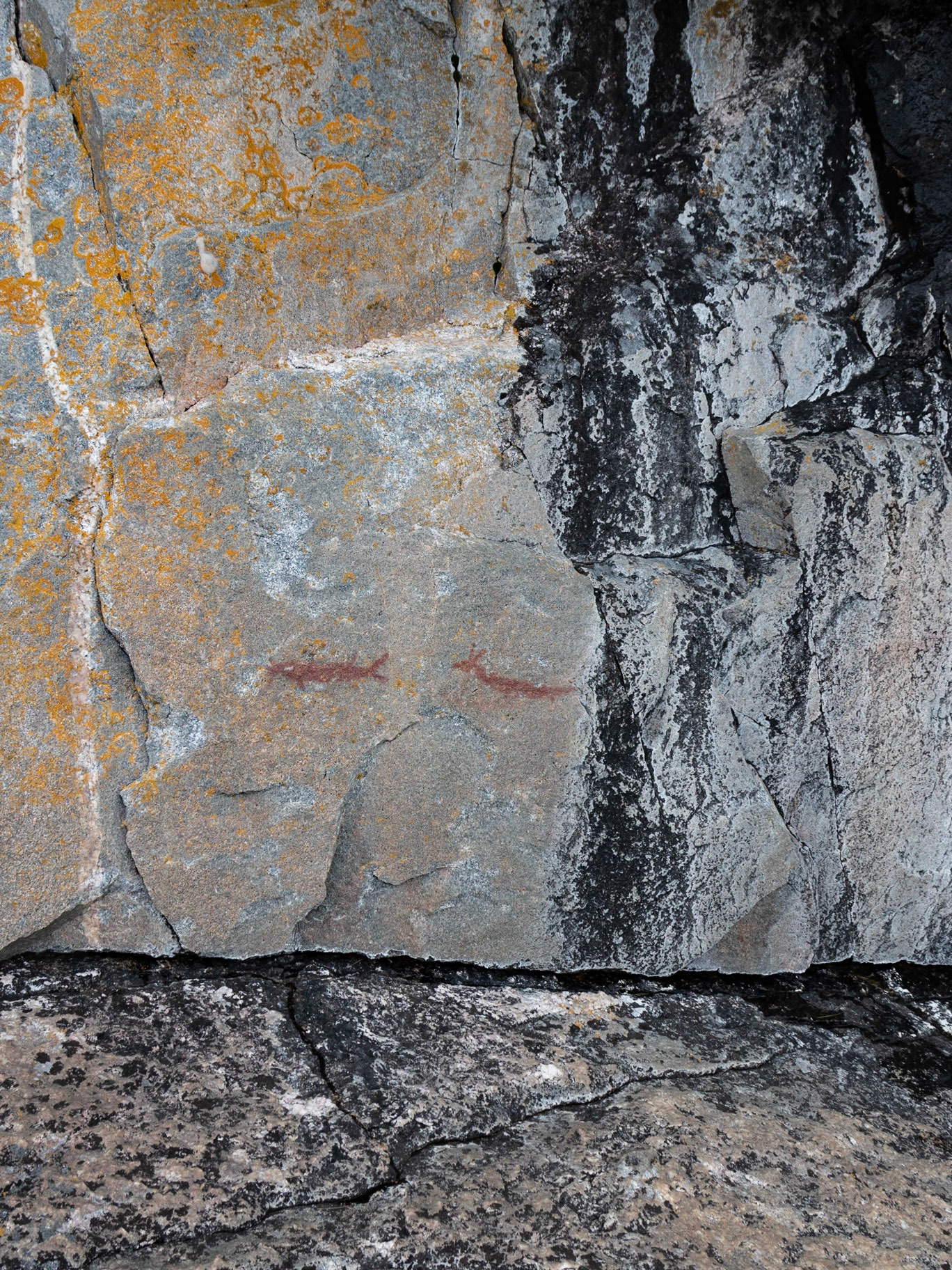 Lake Superior Provincial Park, ON