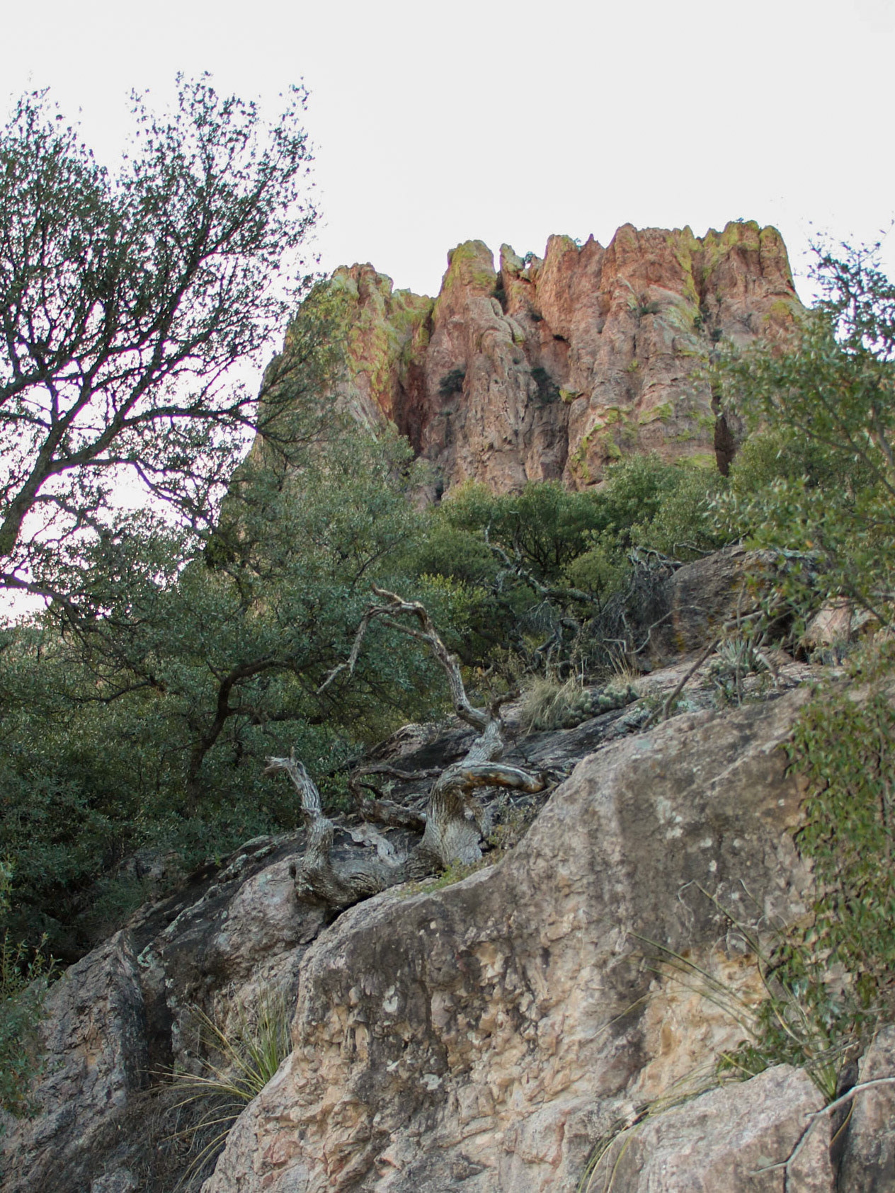 Chiricahua National Monument, NM